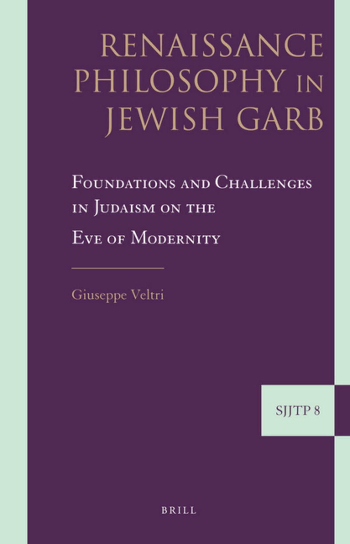 Cover image for Renaissance Philosophy in Jewish Garb ISBN 9789004171961