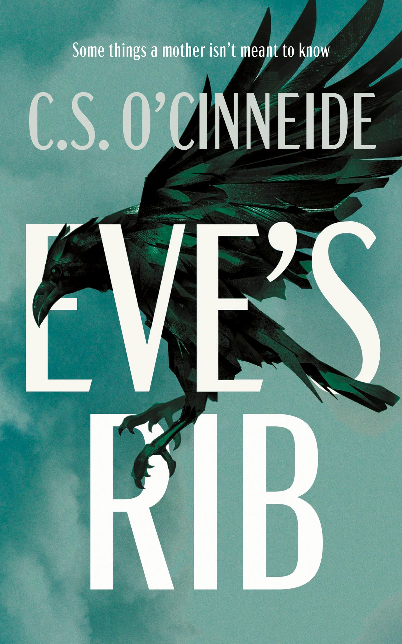 Cover image for Eve's Rib ISBN 9781459749801