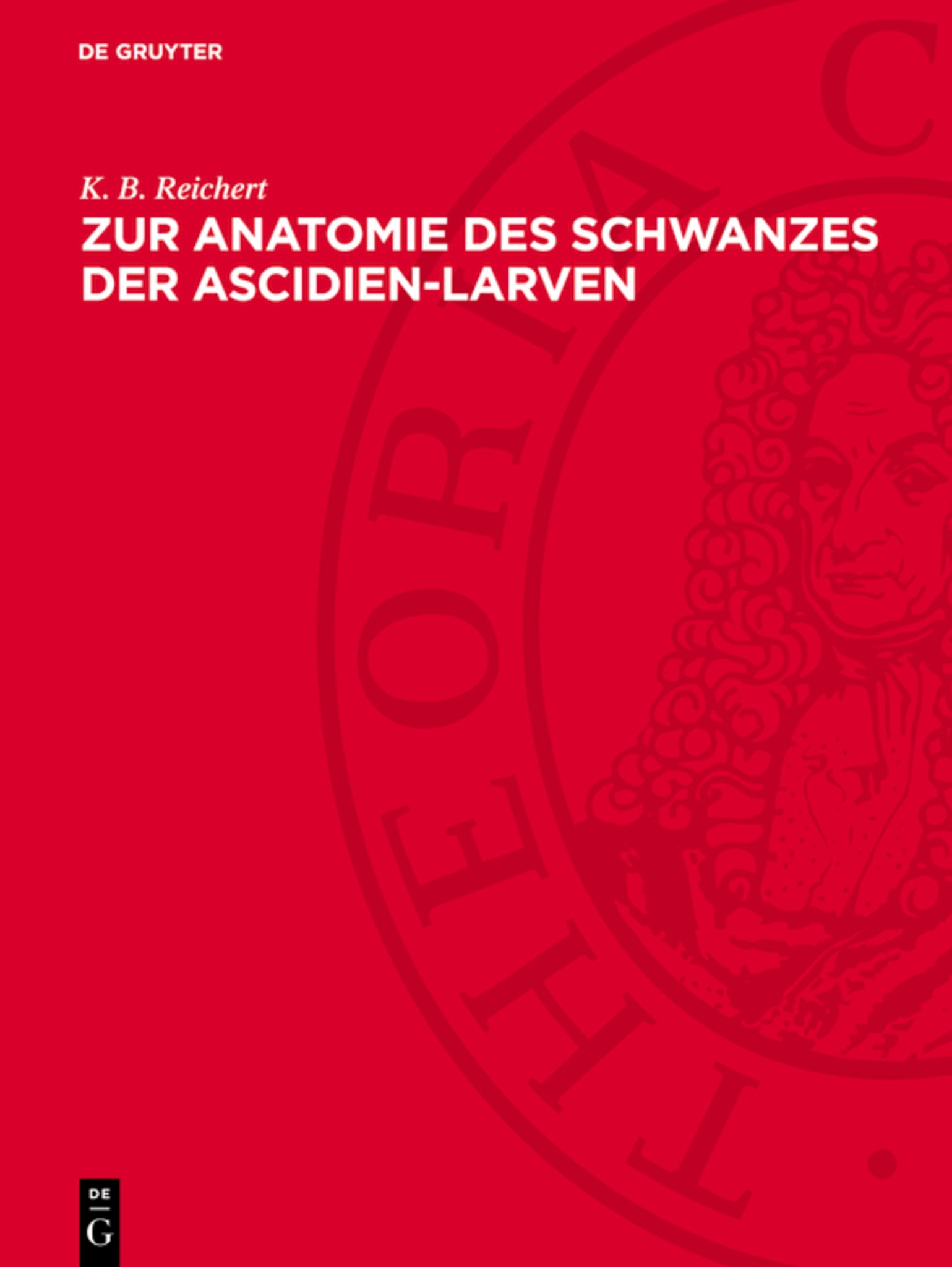 Zur Anatomie des Schwanzes der Ascidien-Larven