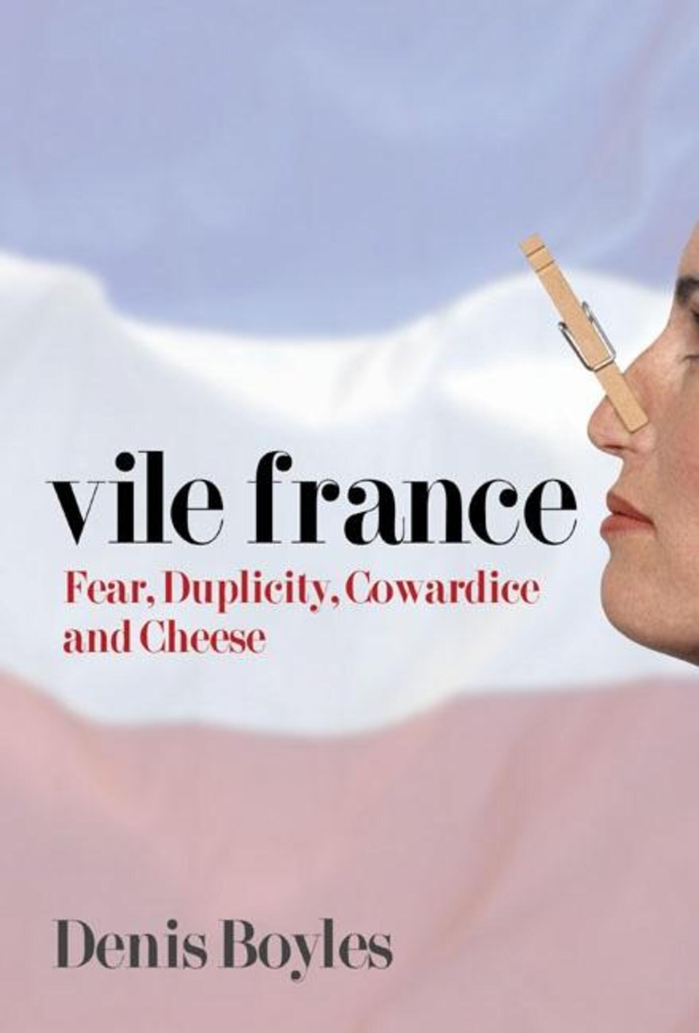 Cover image for Vile France ISBN 9781594030529