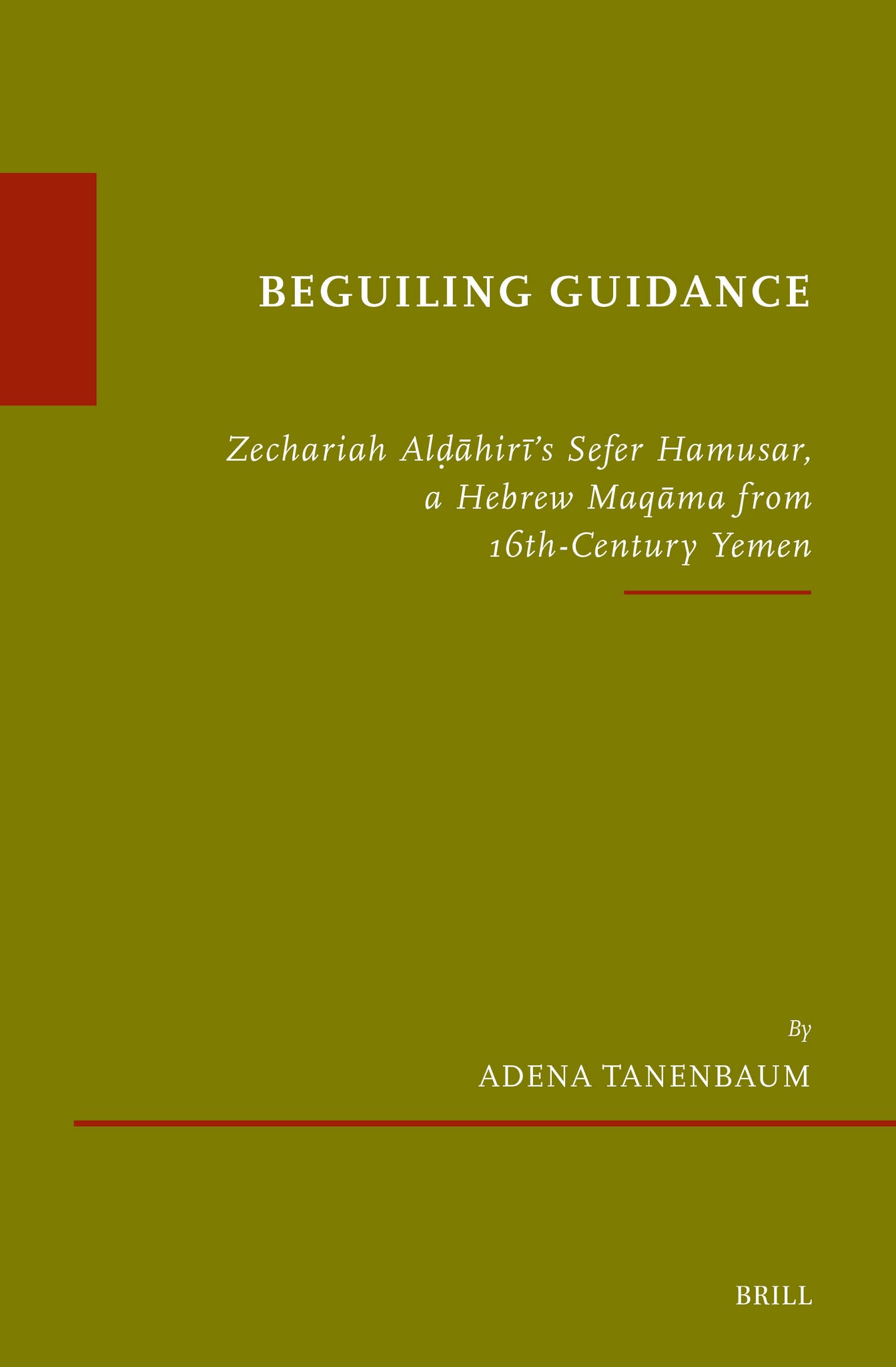 Cover image for Beguiling Guidance ISBN 9789004733794