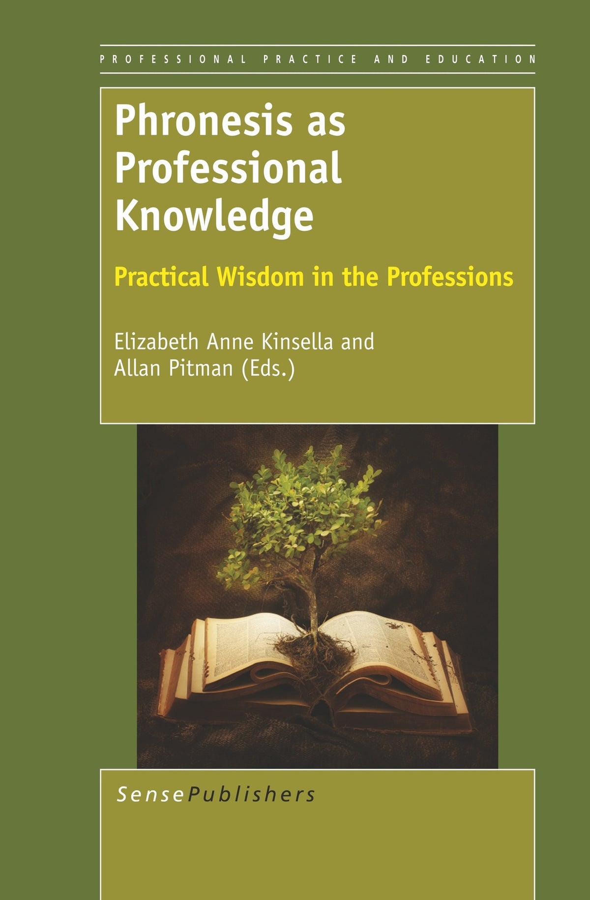 Cover image for Phronesis as Professional Knowledge ISBN 9789460917295