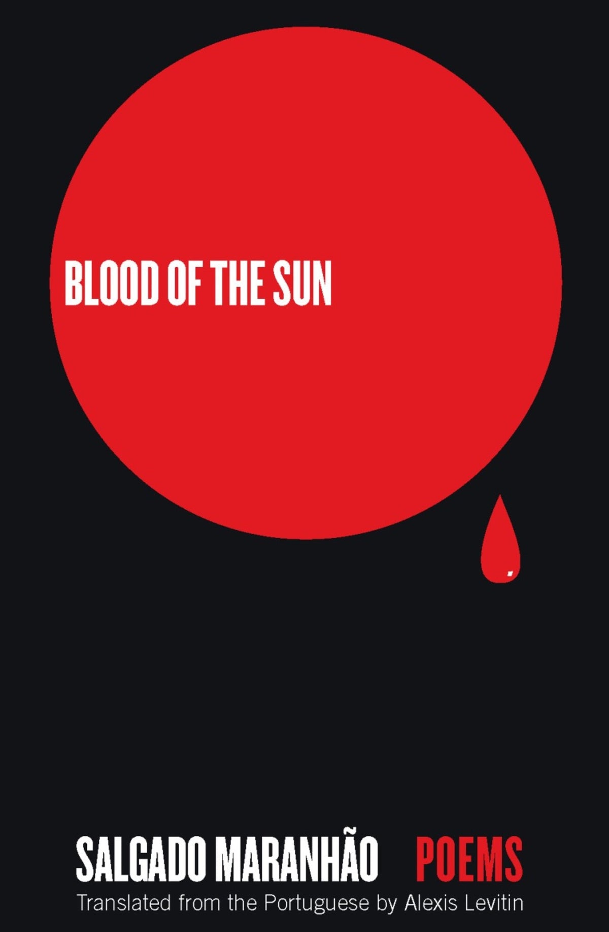 Cover image for Blood of the Sun ISBN 9781571314536