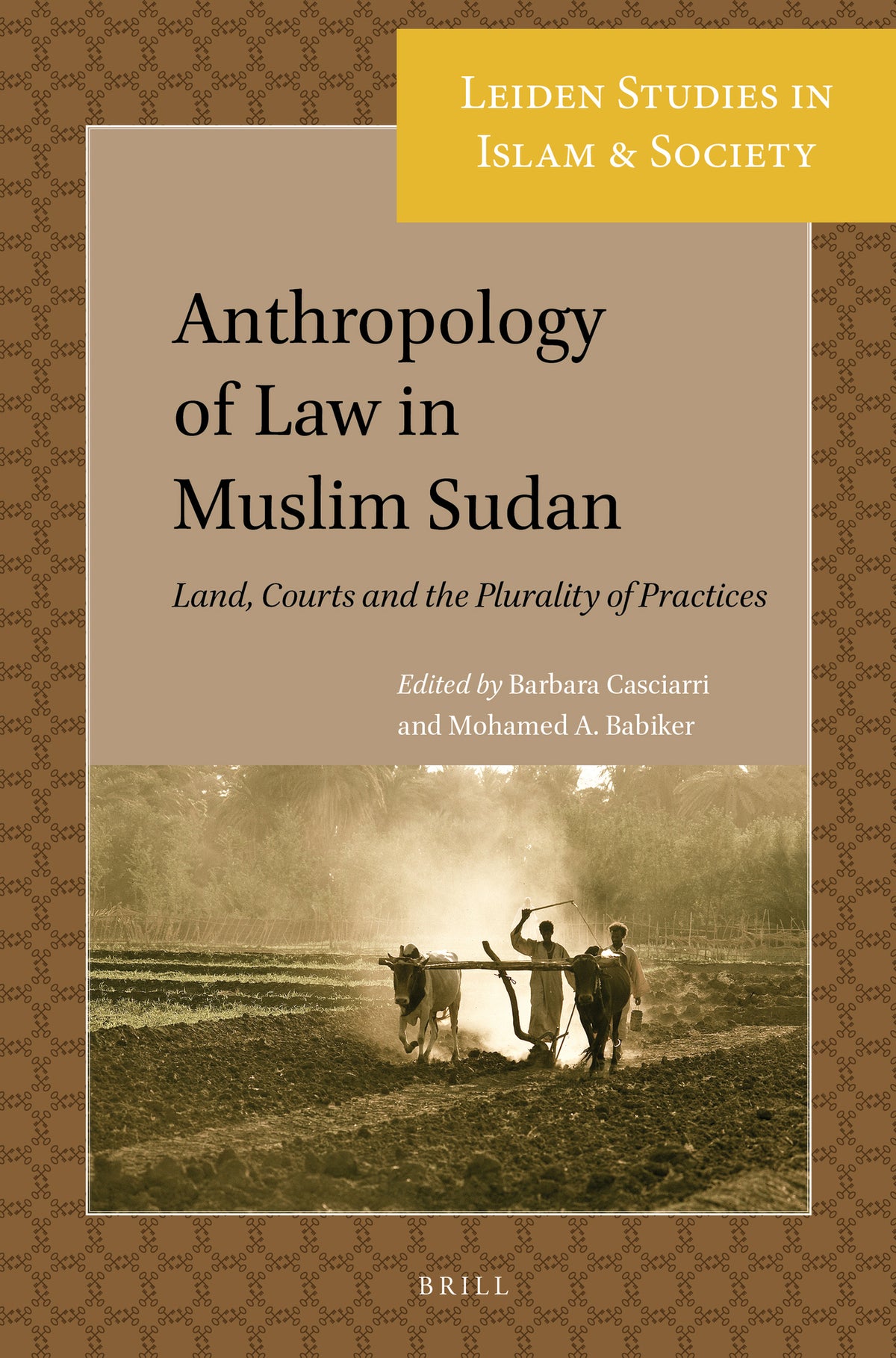 Cover image for Anthropology of Law in Muslim Sudan ISBN 9789004359116