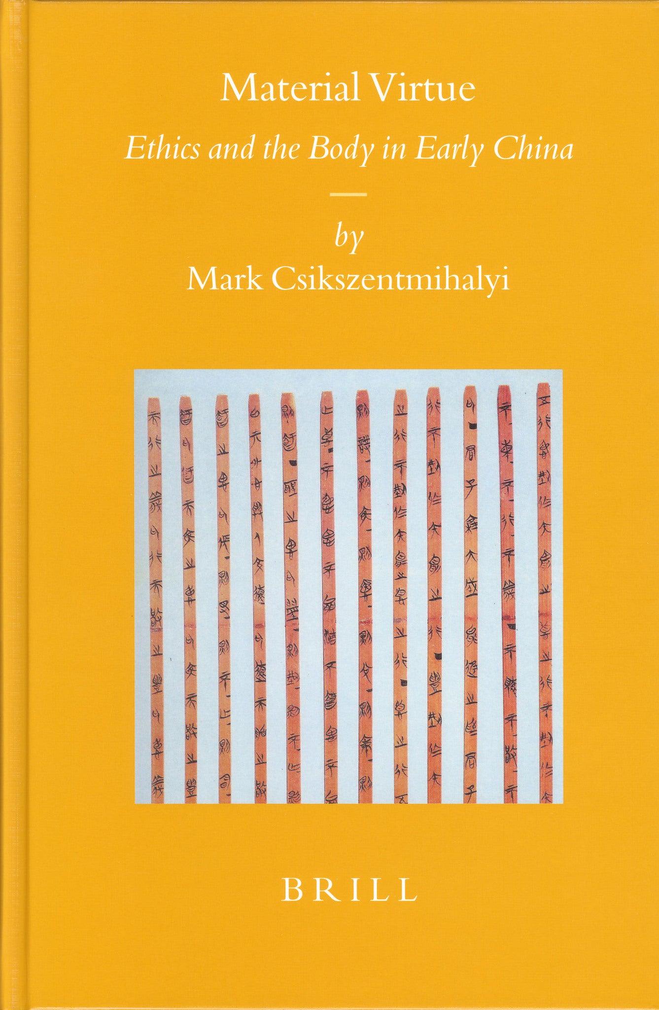 Cover image for Material Virtue ISBN 9789004141964
