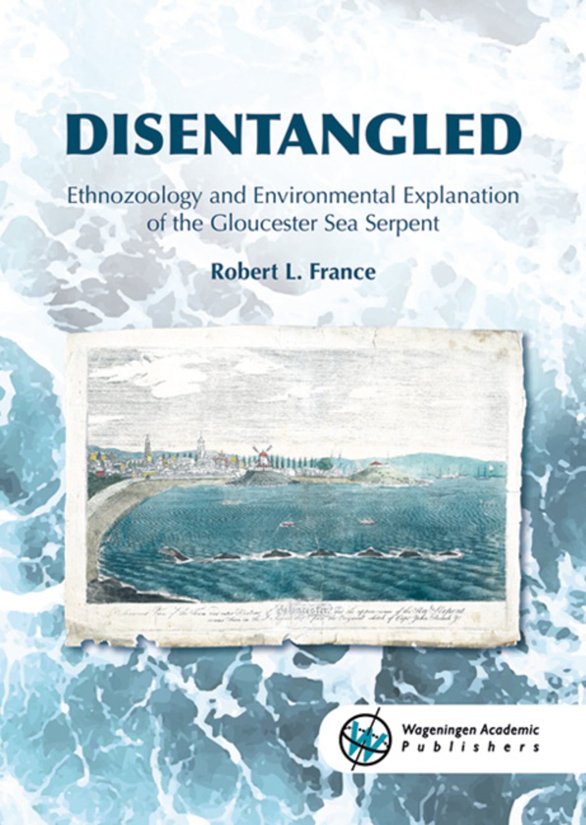 Cover image for Disentangled ISBN 9789086863358