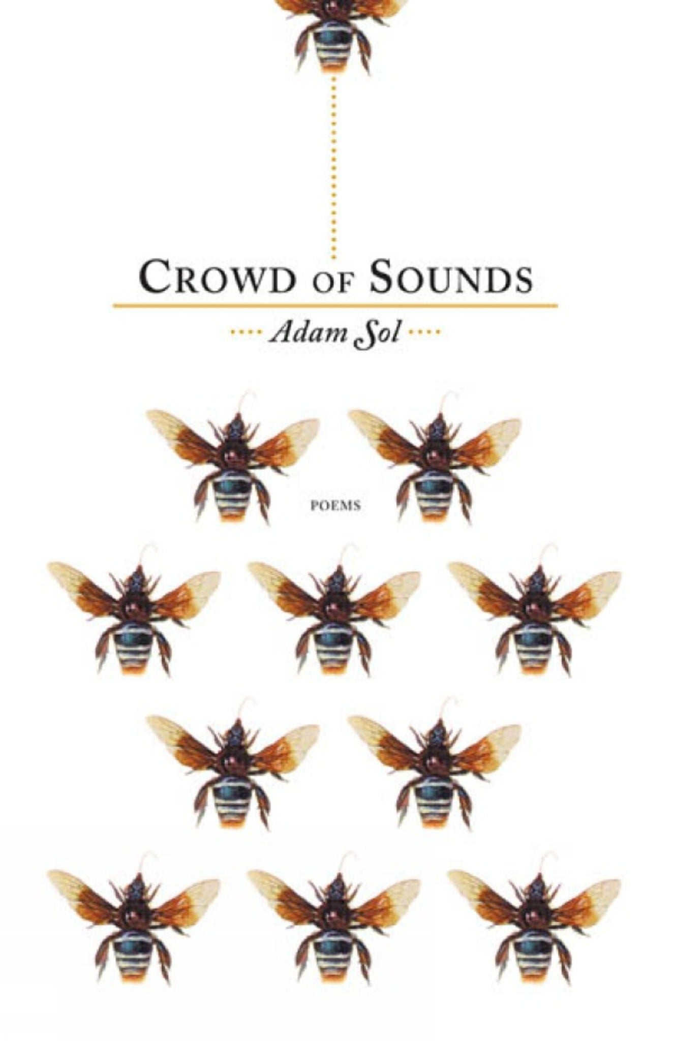 Cover image for Crowd of Sounds ISBN 9780887846885