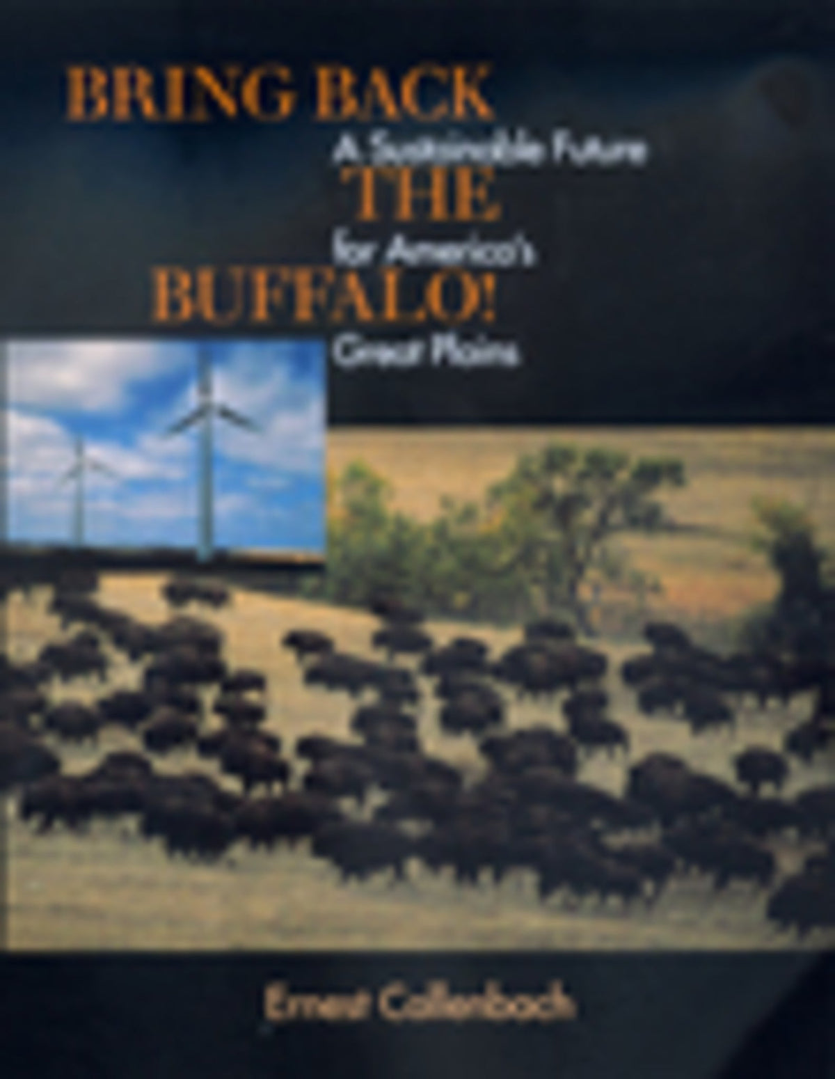 Cover image for Bring Back the Buffalo! ISBN 9780520925144