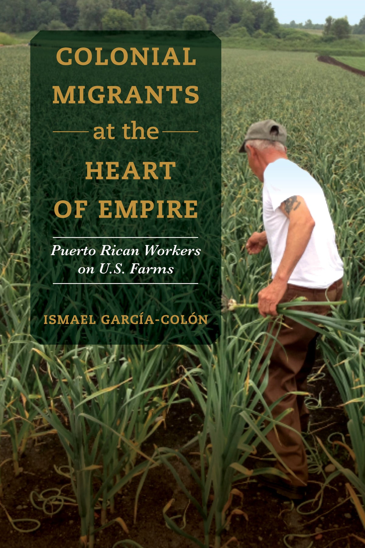 Cover image for Colonial Migrants at the Heart of Empire ISBN 9780520325791