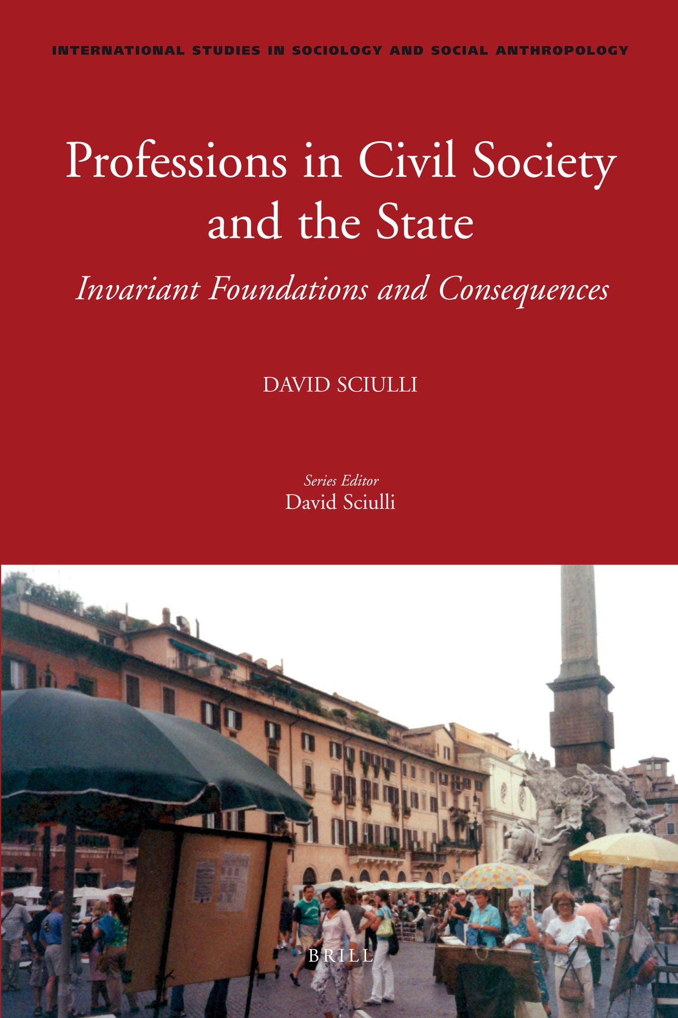 Professions in Civil Society and the State