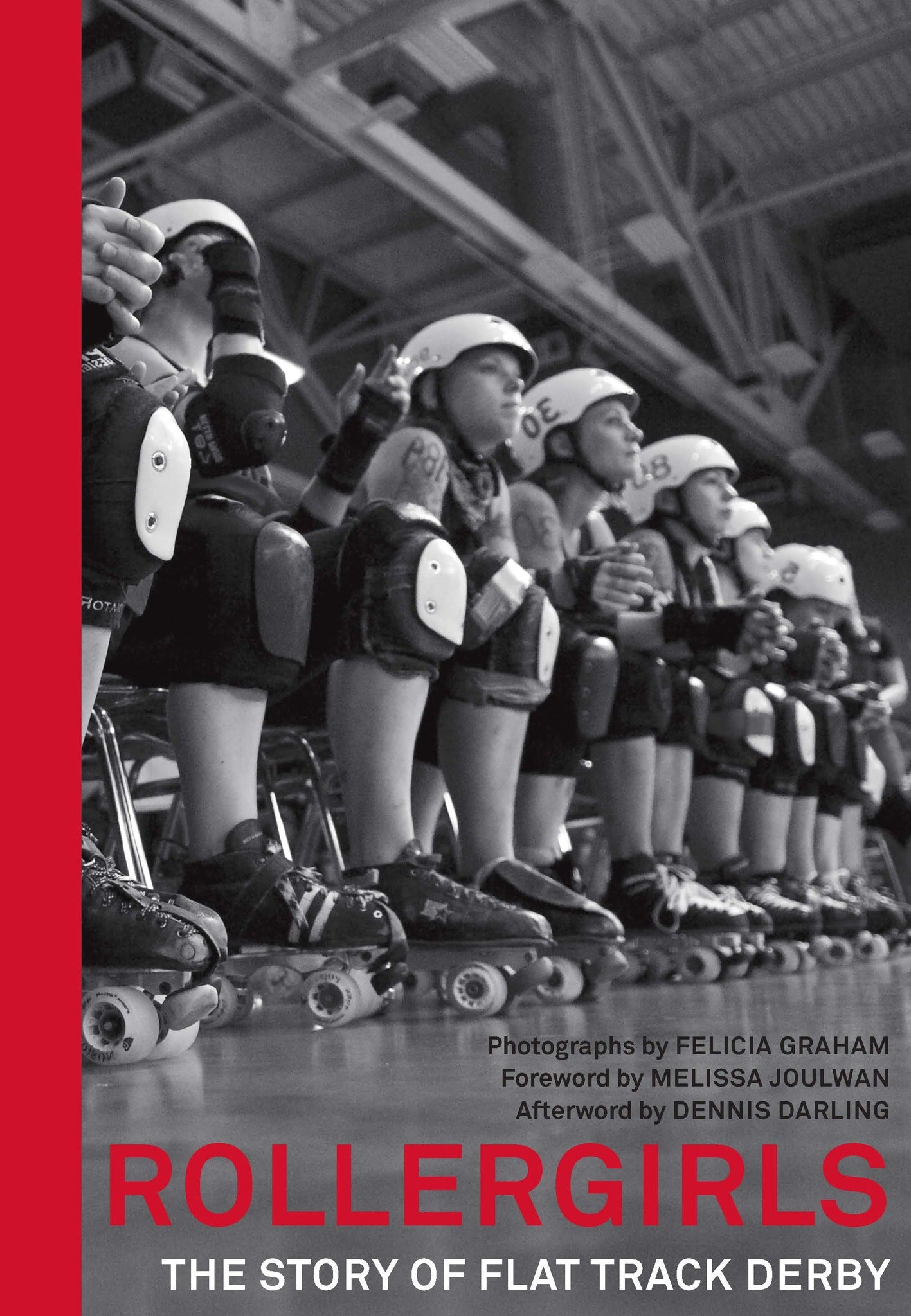 Cover image for Rollergirls ISBN 9781595348821