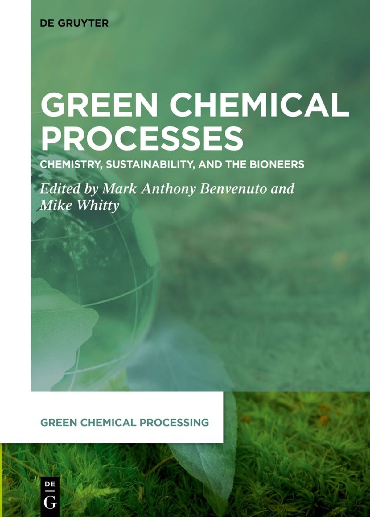 Cover image for Green Chemical Processes ISBN 9783111310954
