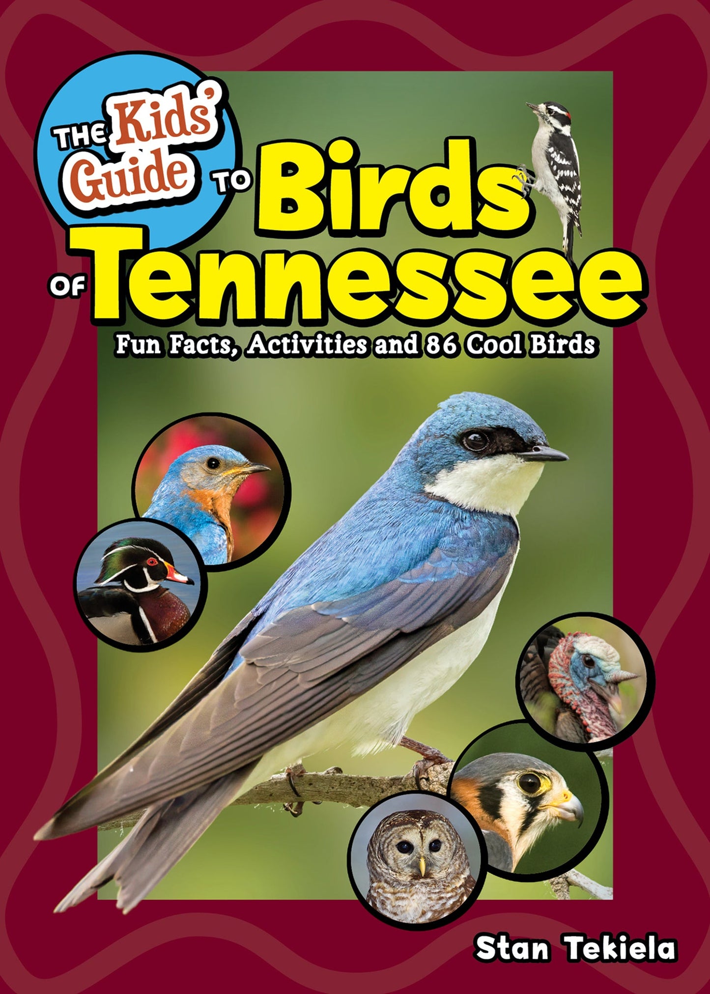 Cover image for The Kids' Guide to Birds of Tennessee ISBN 9781647556952