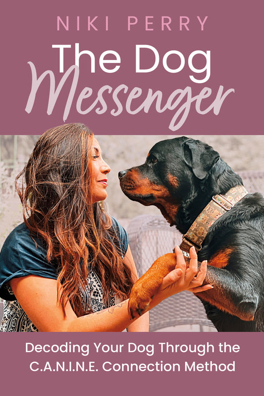 The Dog Messenger