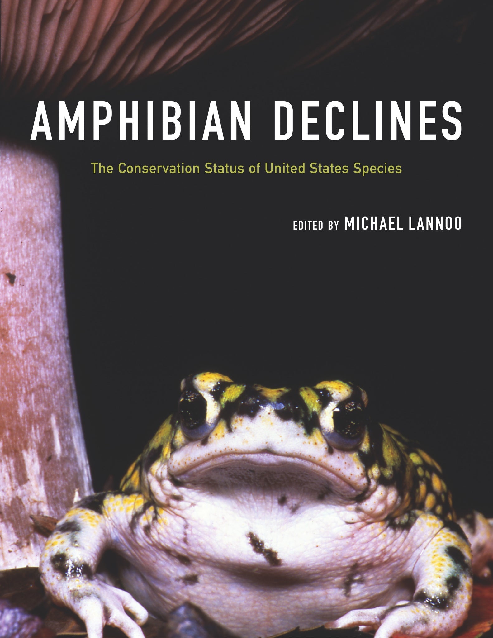 Cover image for Amphibian Declines ISBN 9780520929432