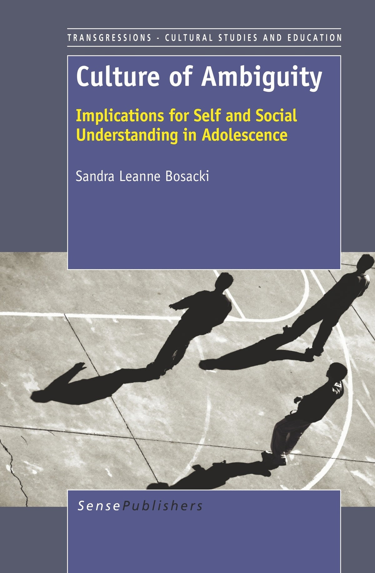 Cover image for Culture of Ambiguity ISBN 9789460916229