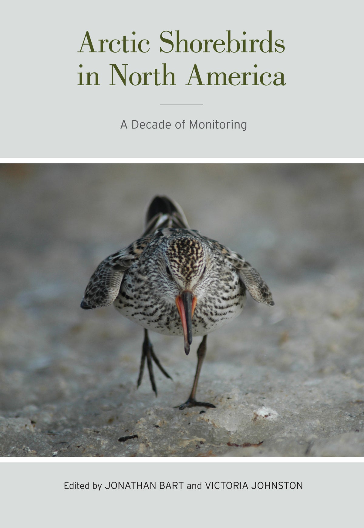 Cover image for Arctic Shorebirds in North America ISBN 9780520273108