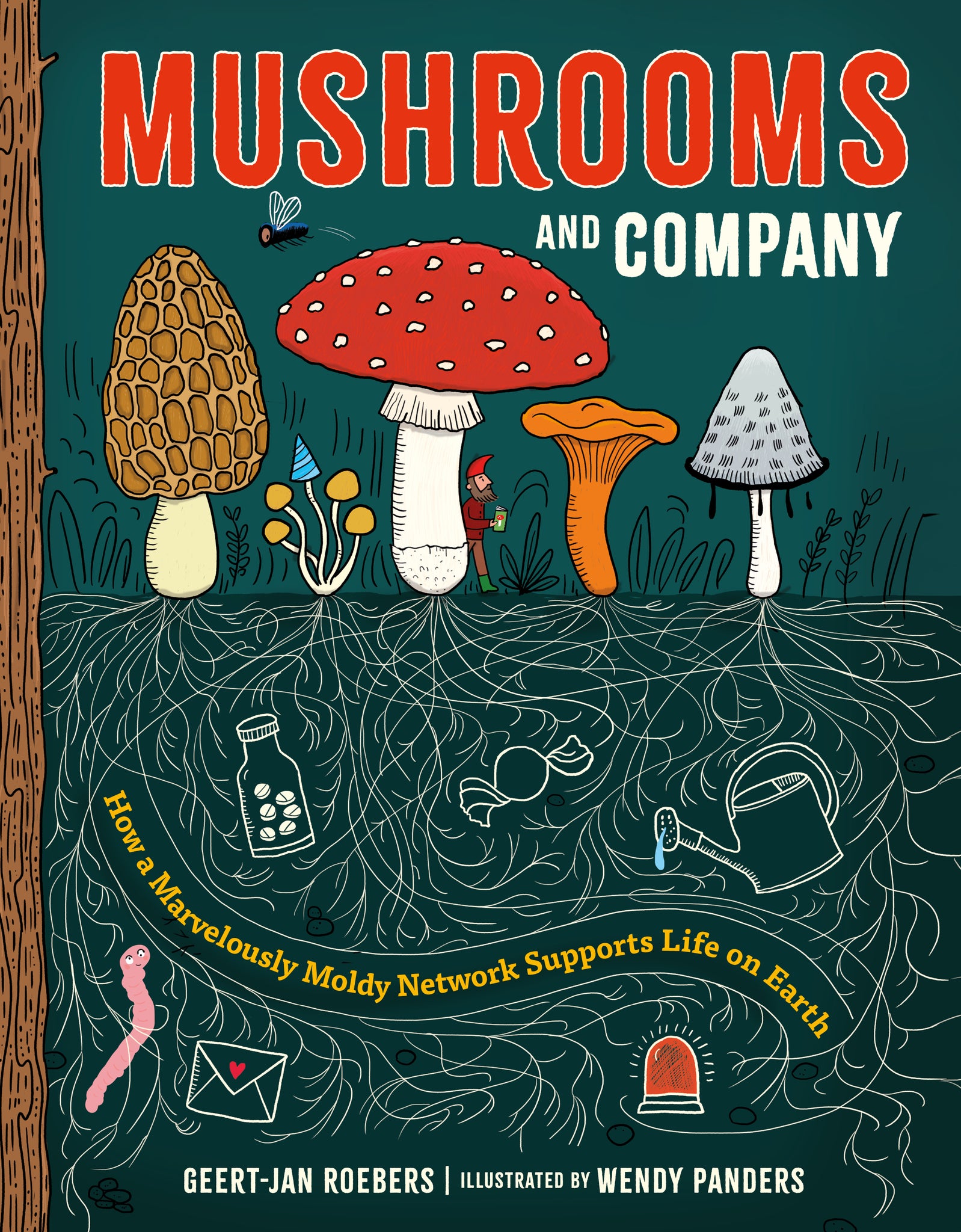 Cover image for Mushrooms and Company ISBN 9781778402227