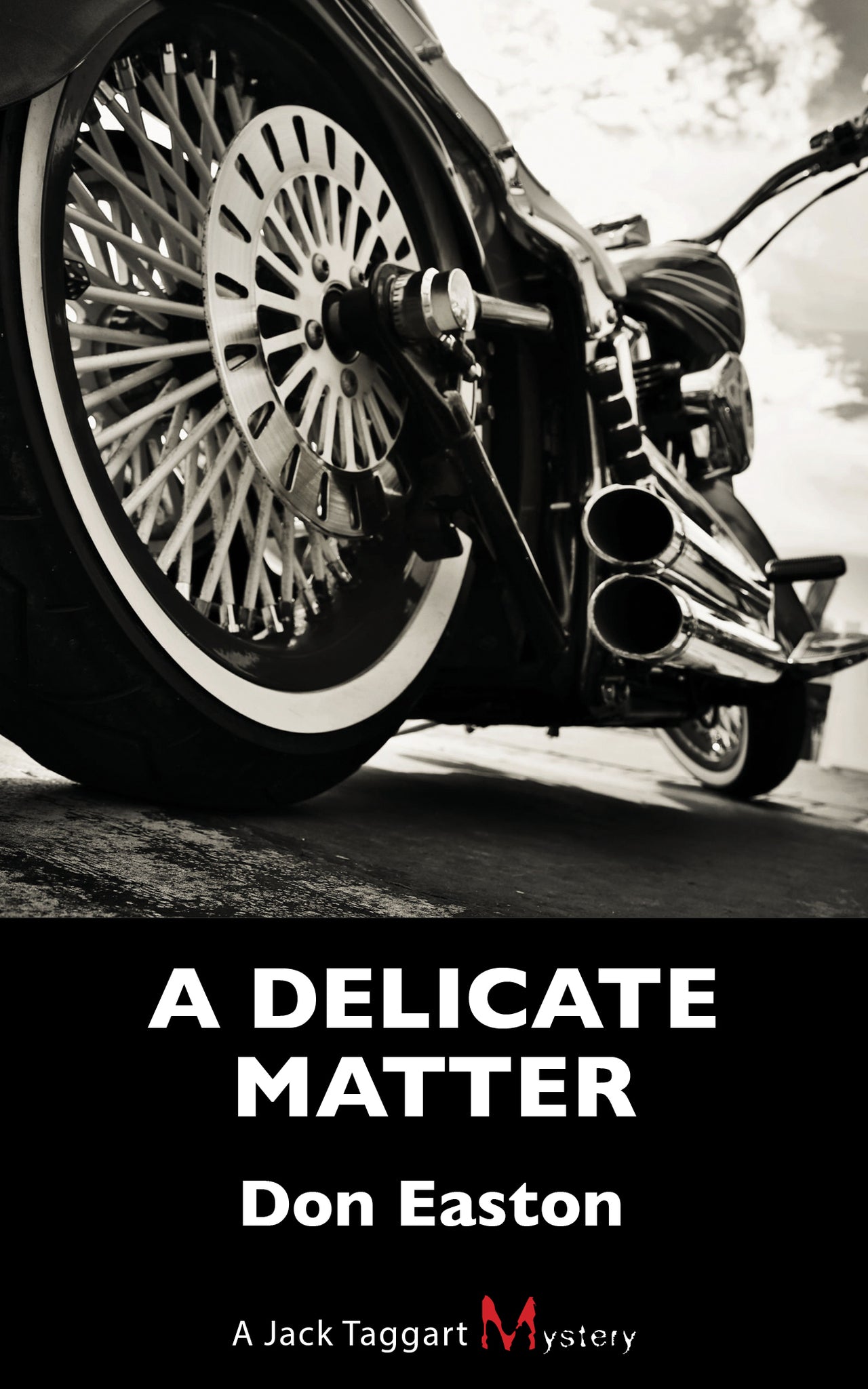Cover image for A Delicate Matter ISBN 9781459734272