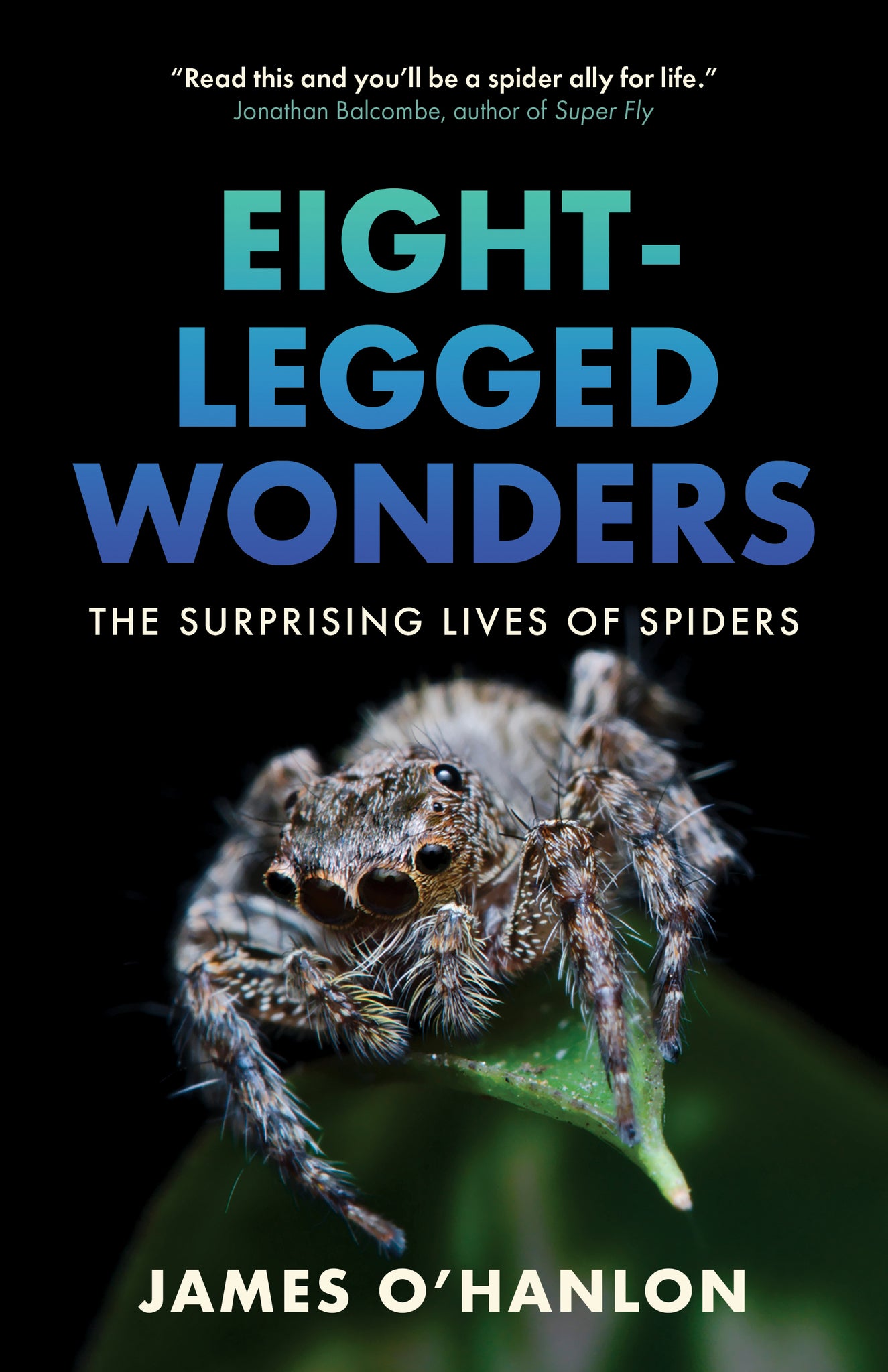 Cover image for Eight-Legged Wonders ISBN 9781778401558
