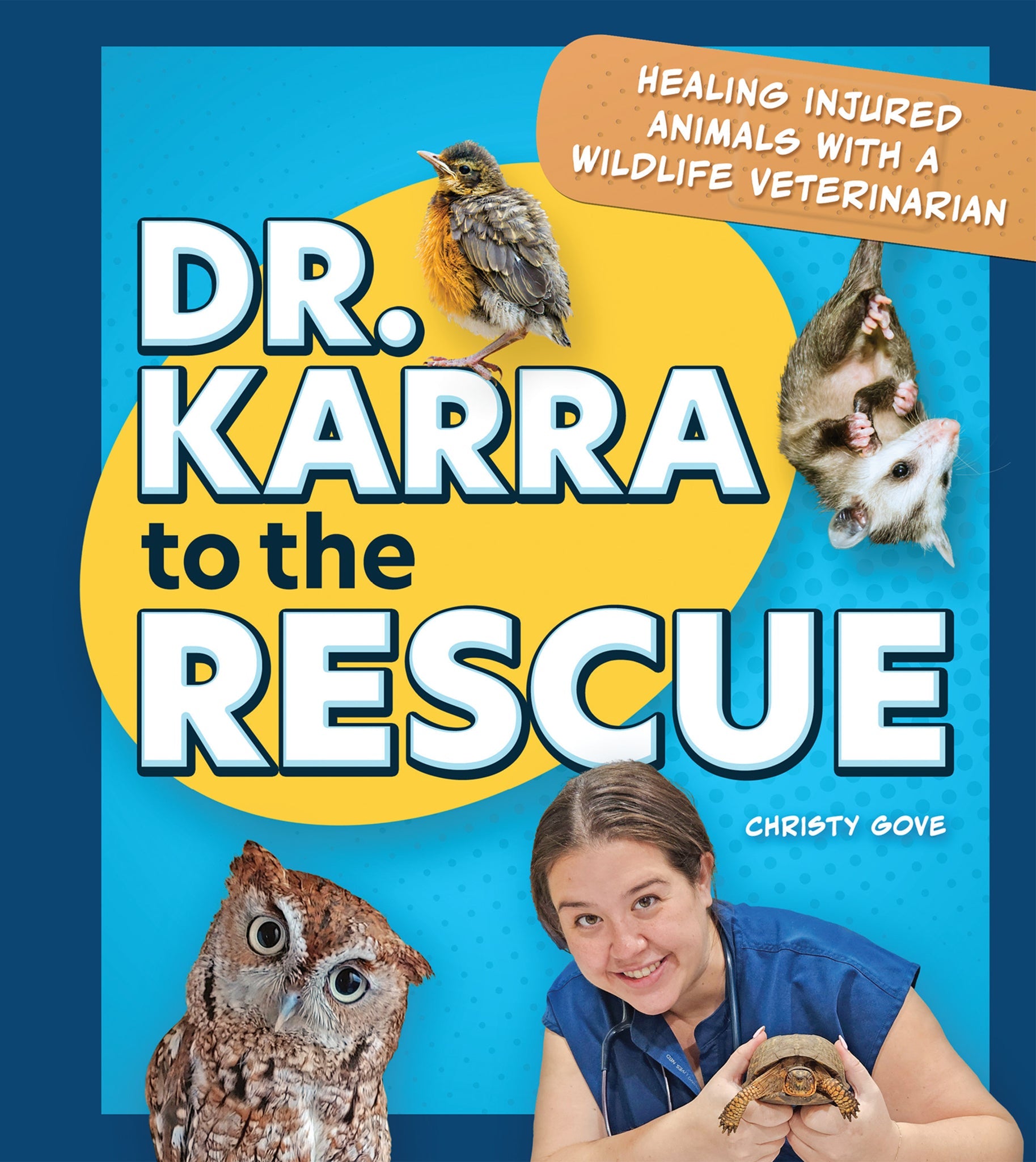 Cover image for Dr. Karra to the Rescue ISBN 9781647555856