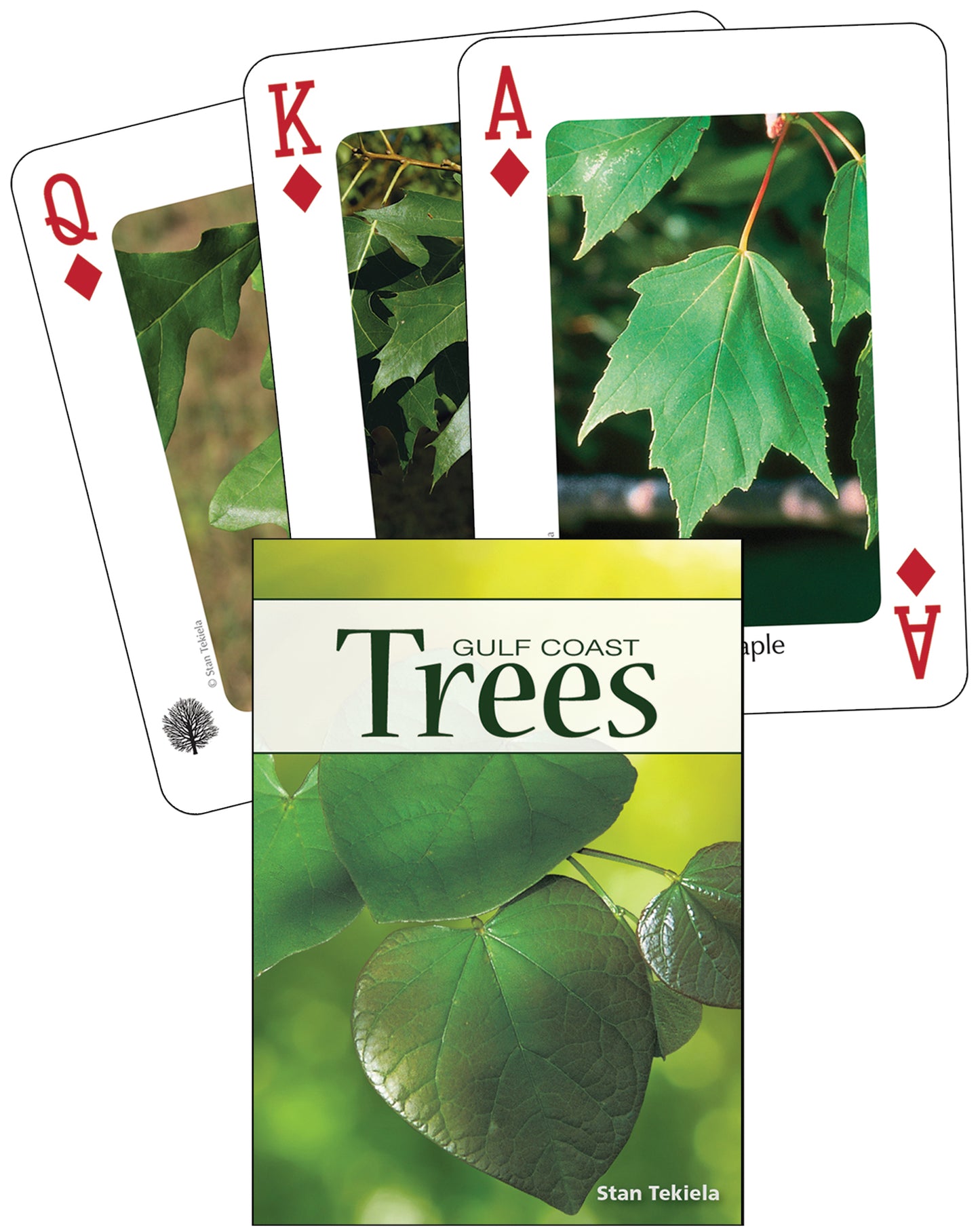 Trees of the Gulf Coast Playing Cards