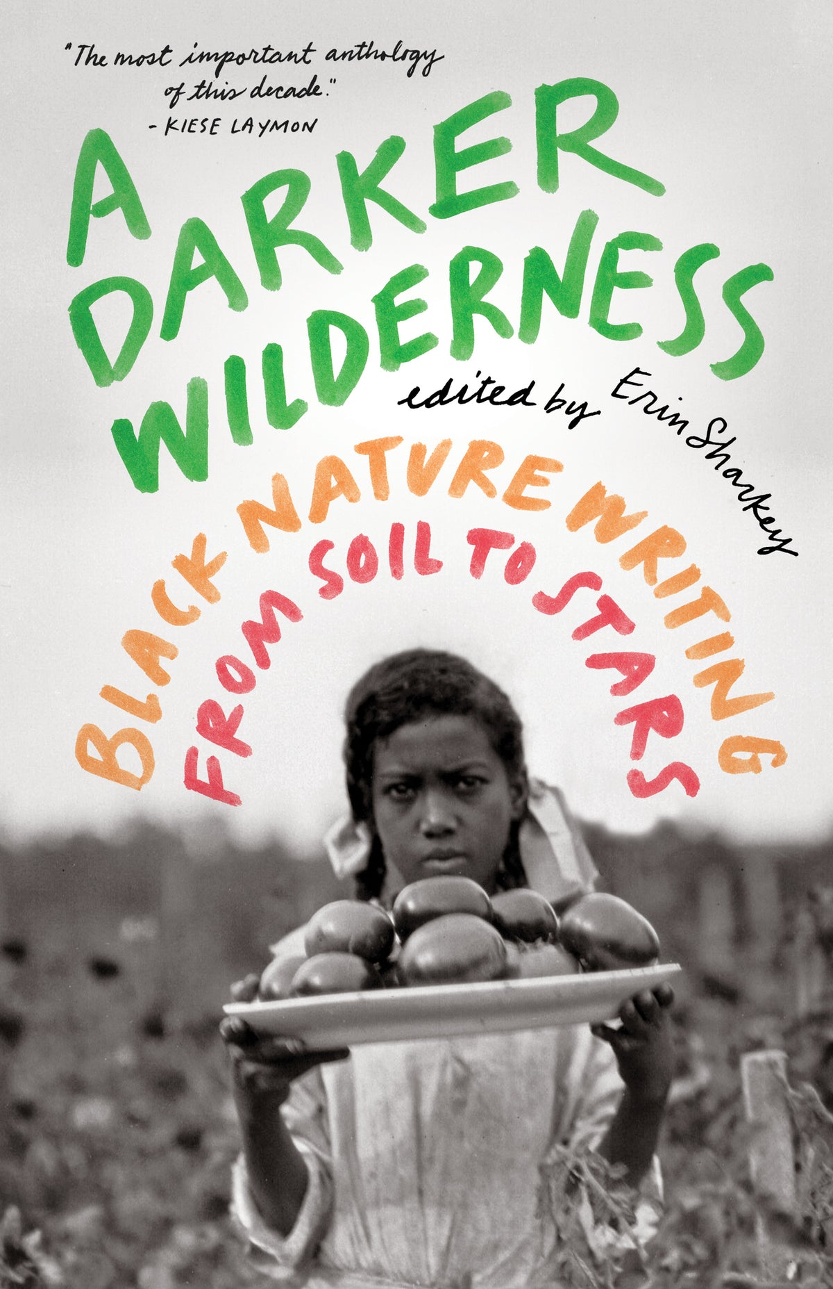Cover image for A Darker Wilderness ISBN 9781571313904