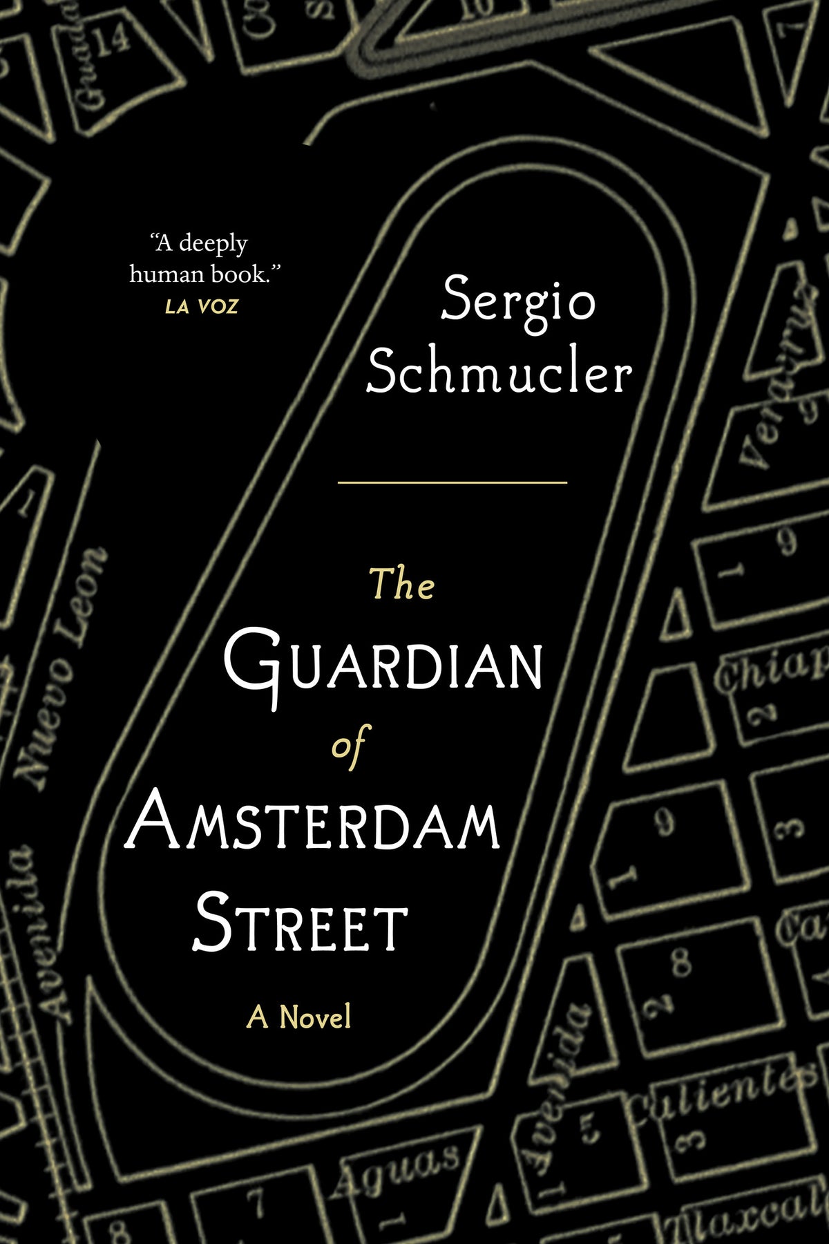 Cover image for The Guardian of Amsterdam Street ISBN 9781487008284