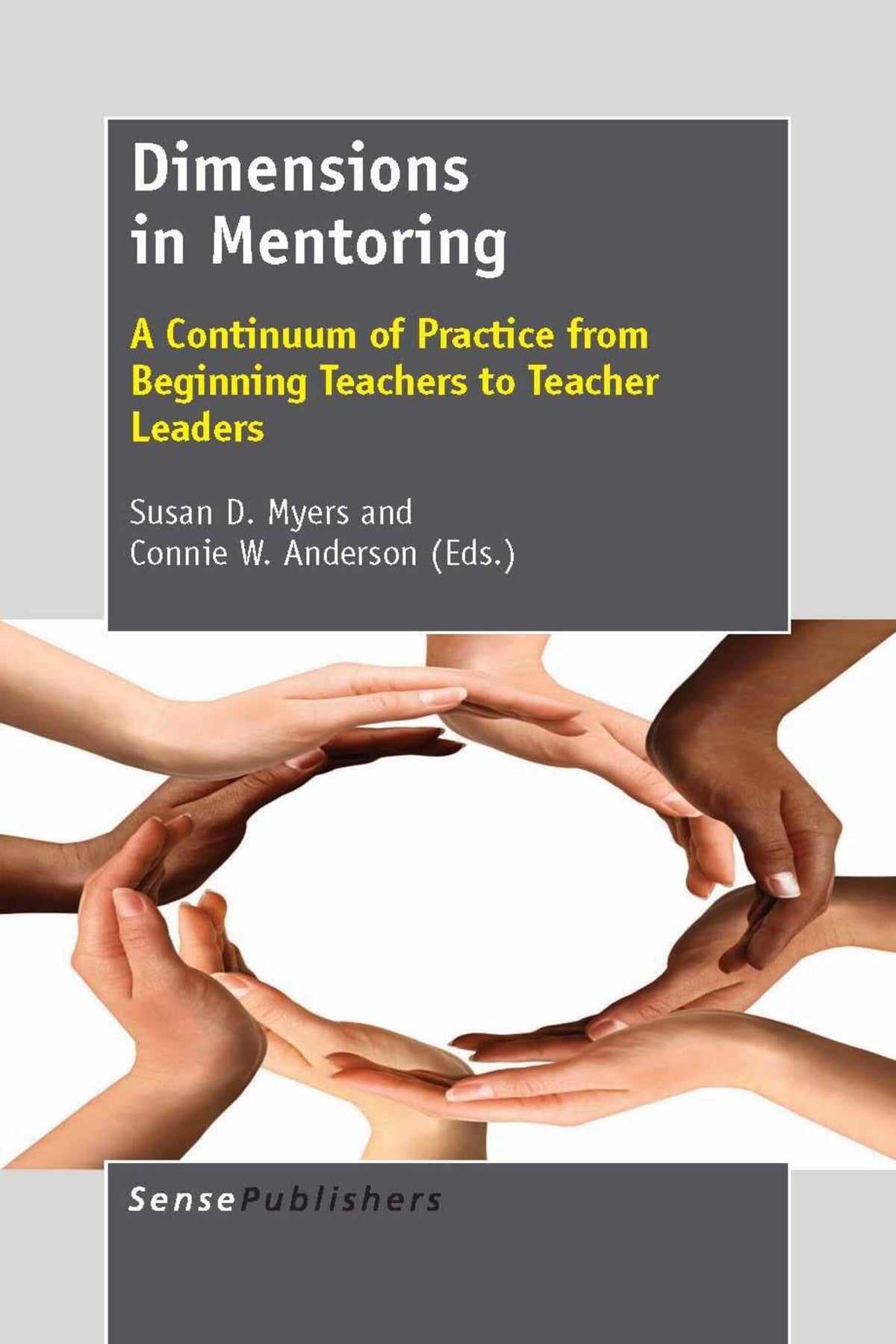 Cover image for Dimensions in Mentoring ISBN 9789460918698