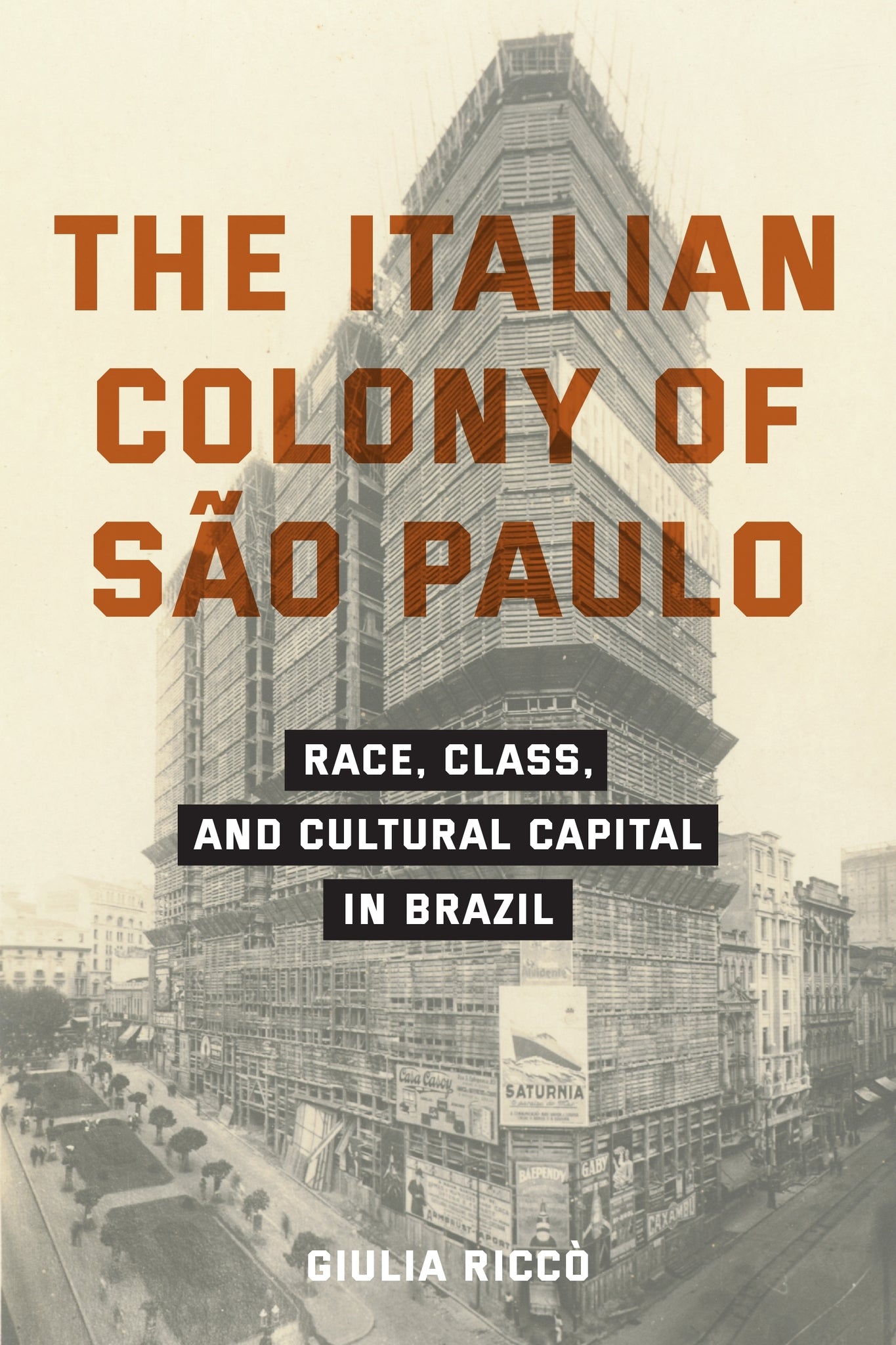 Cover image for The Italian Colony of São Paulo ISBN 9781531512248