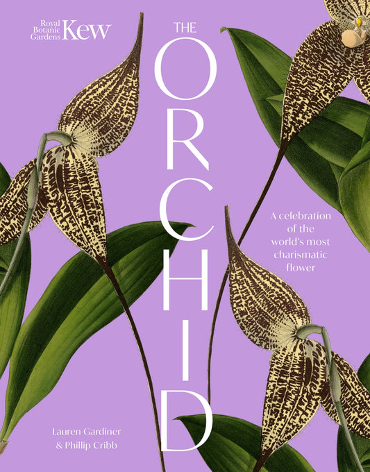The Orchid