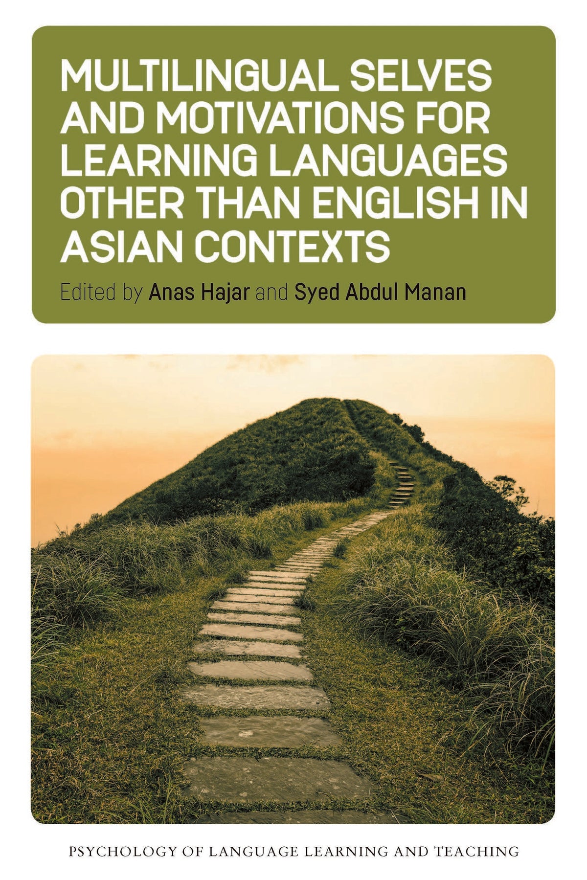 Cover image for Multilingual Selves and Motivations for Learning Languages other than English in Asian Contexts ISBN 9781800417212