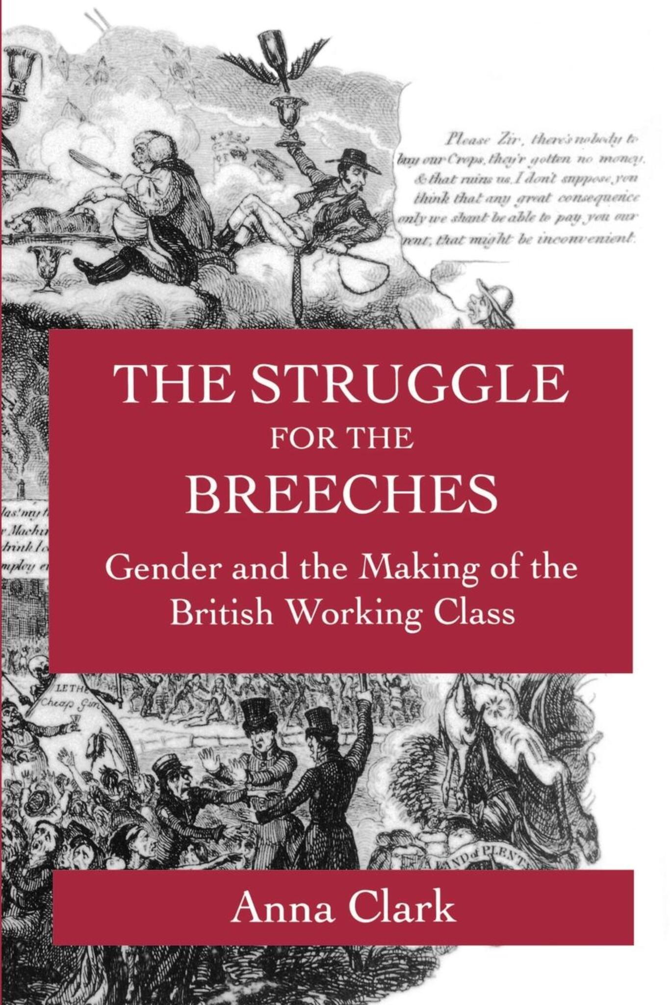 Cover image for The Struggle for the Breeches ISBN 9780520919051