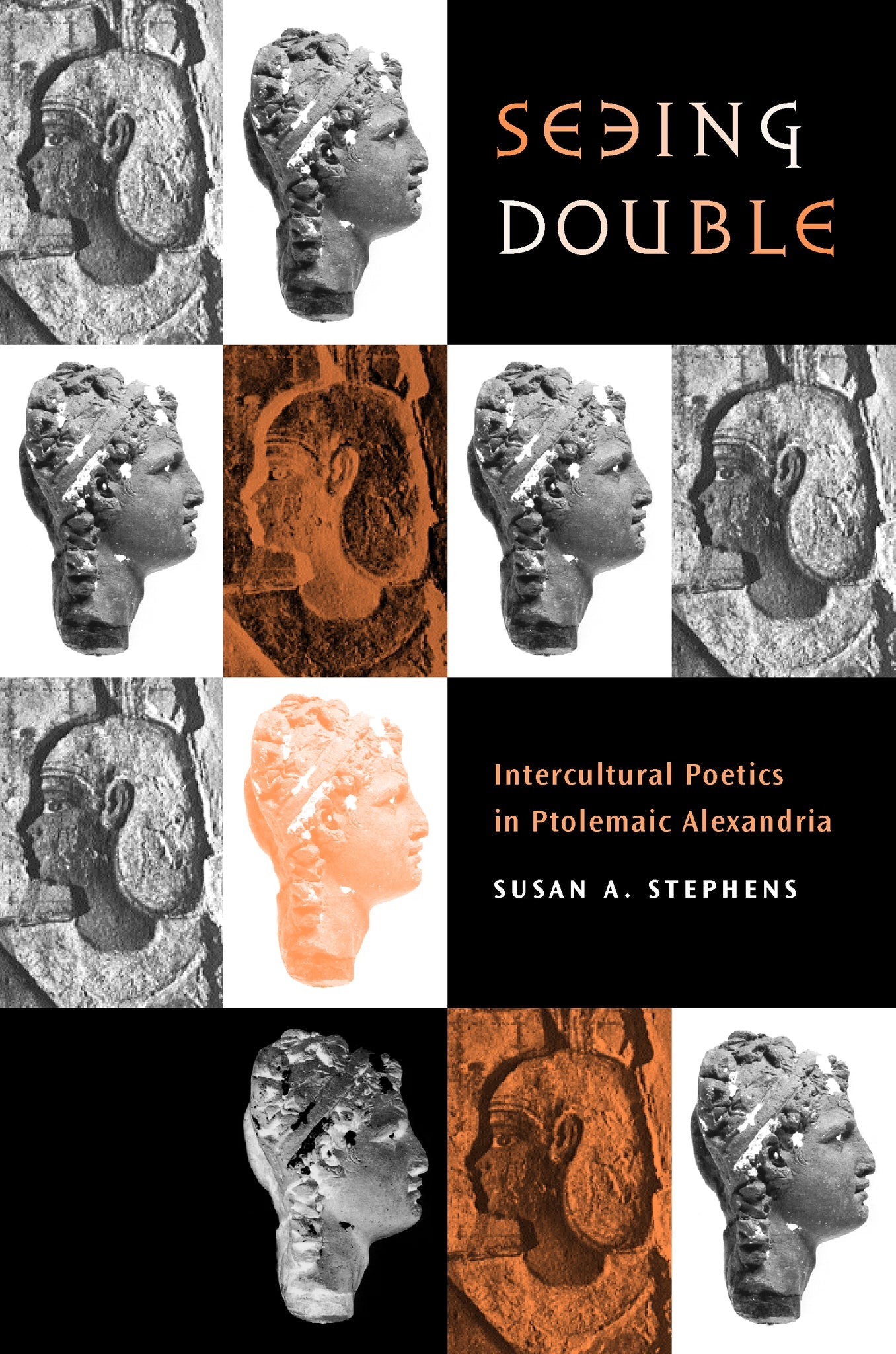 Cover image for Seeing Double ISBN 9780520927384