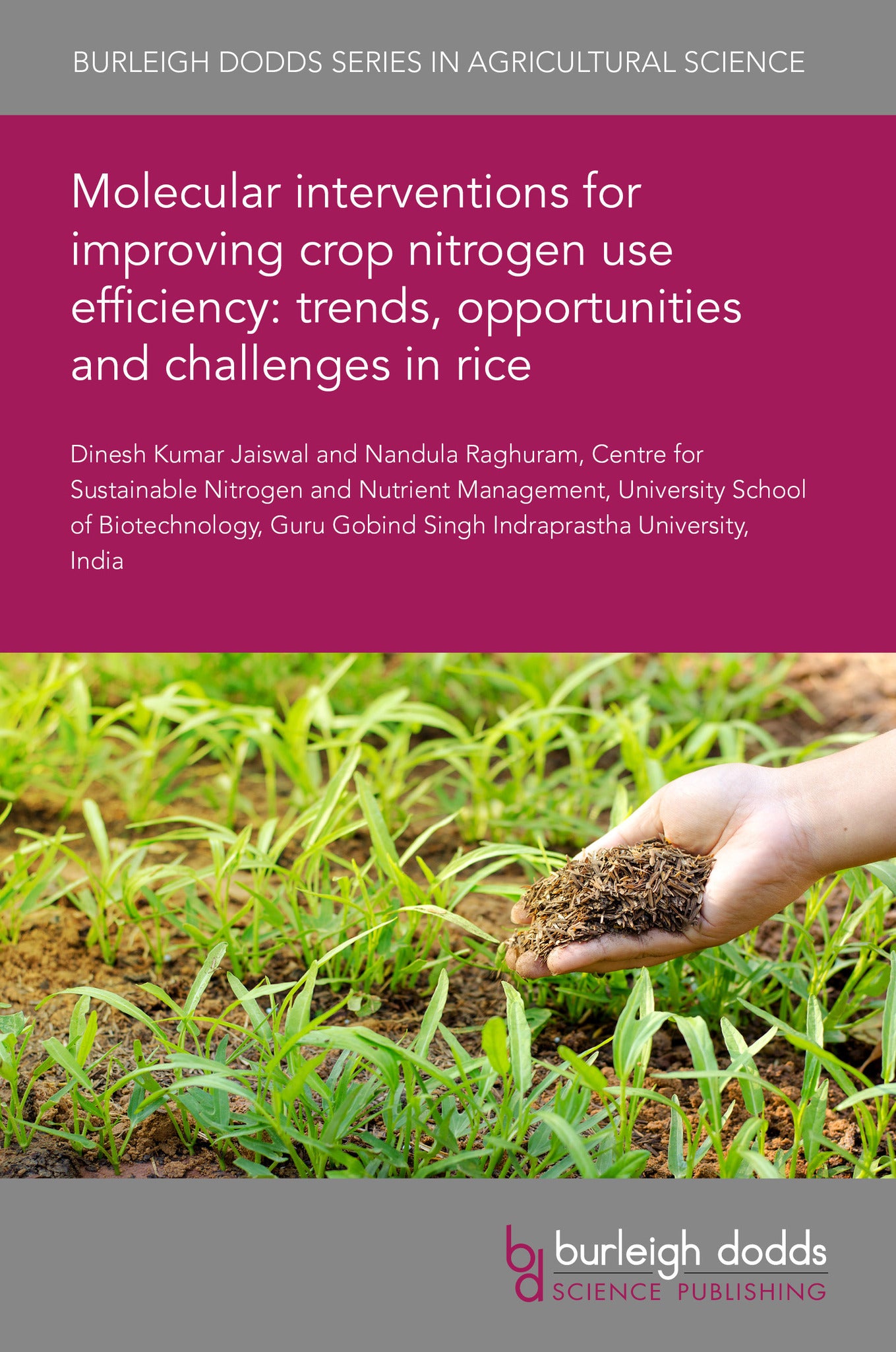 Cover image for Molecular interventions for improving crop nitrogen use efficiency: trends, opportunities and challenges in rice ISBN 9781835450895