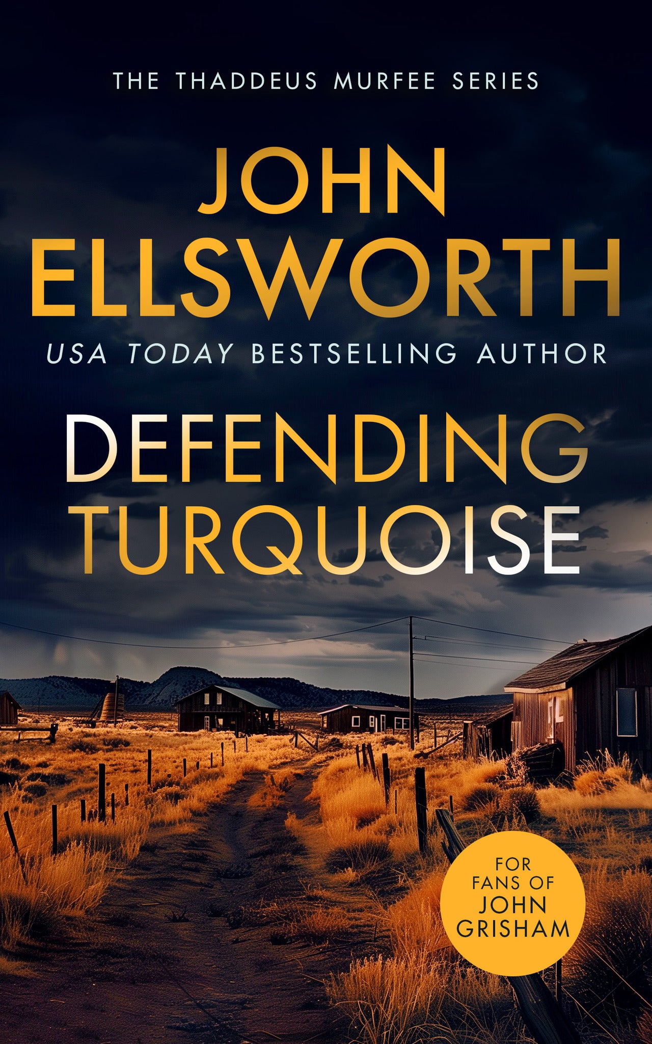 Cover image for Defending Turquoise ISBN 9781036700171