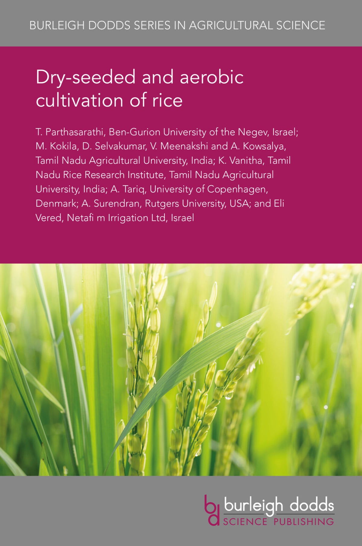 Cover image for Dry-seeded and aerobic cultivation of rice ISBN 9781838792428