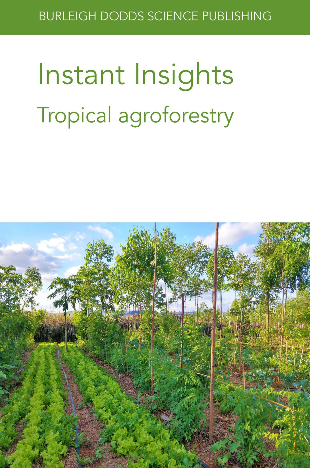 Cover image for Instant Insights: Tropical agroforestry ISBN 9781801462839