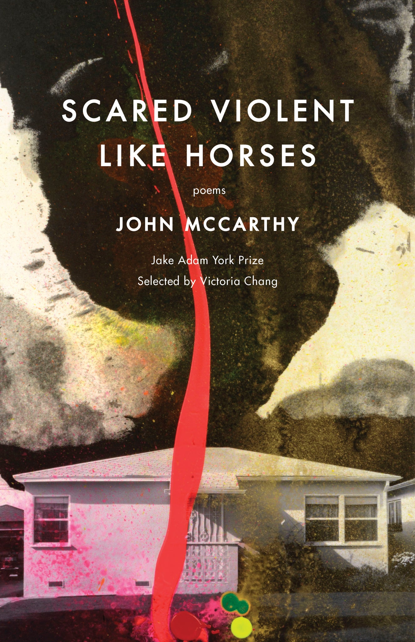 Cover image for Scared Violent Like Horses ISBN 9781571315076
