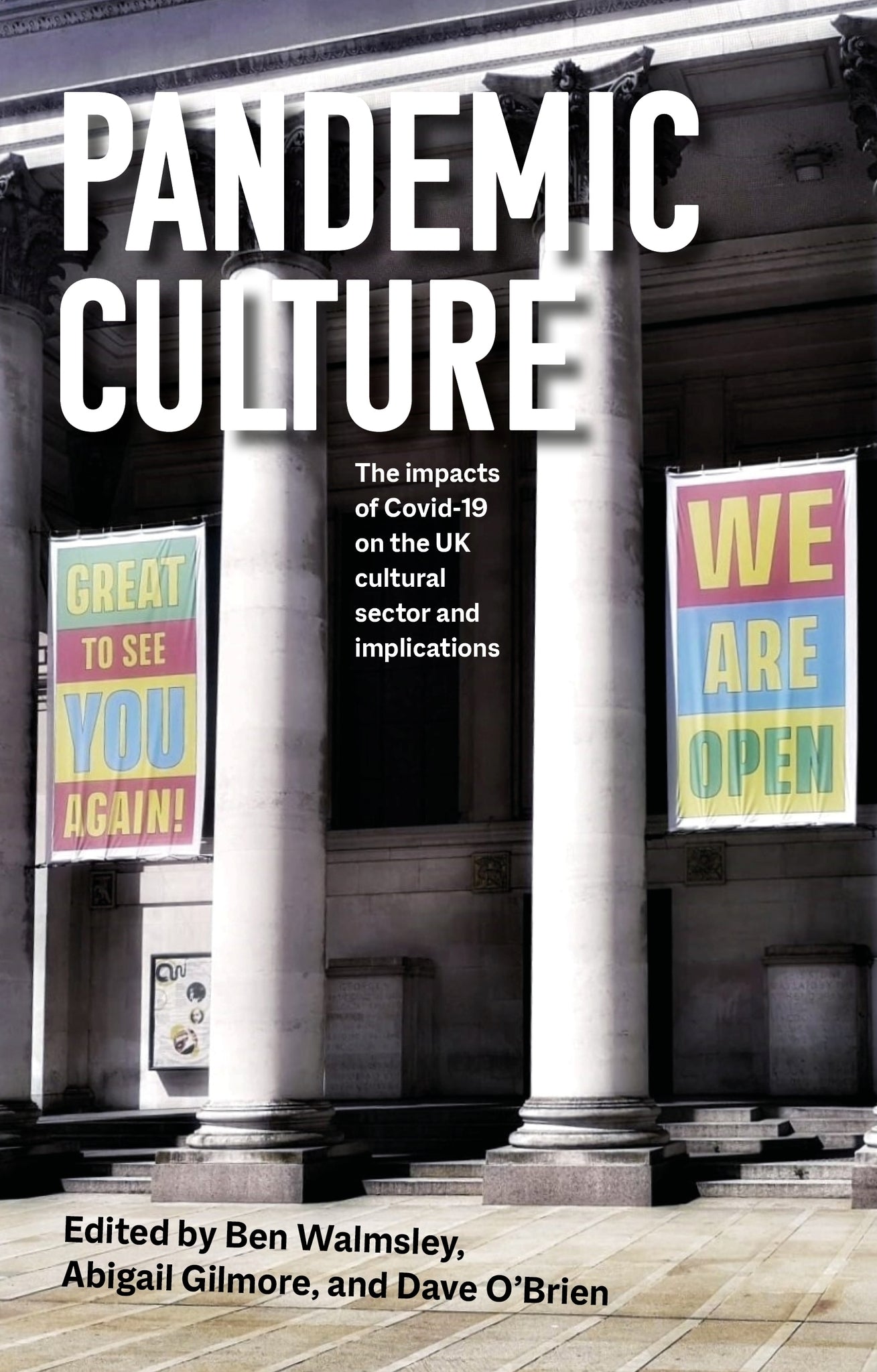Cover image for Pandemic culture ISBN 9781526168344