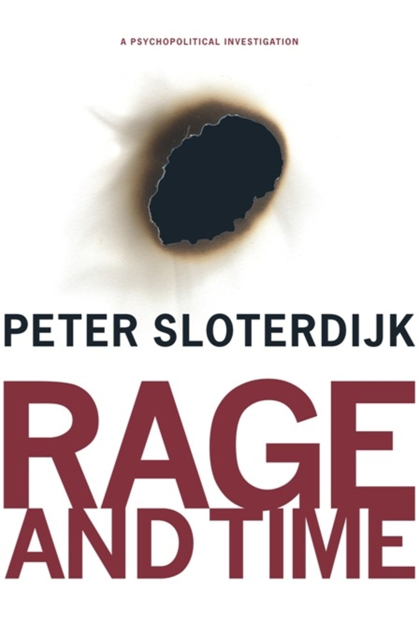 Cover image for Rage and Time ISBN 9780231145237