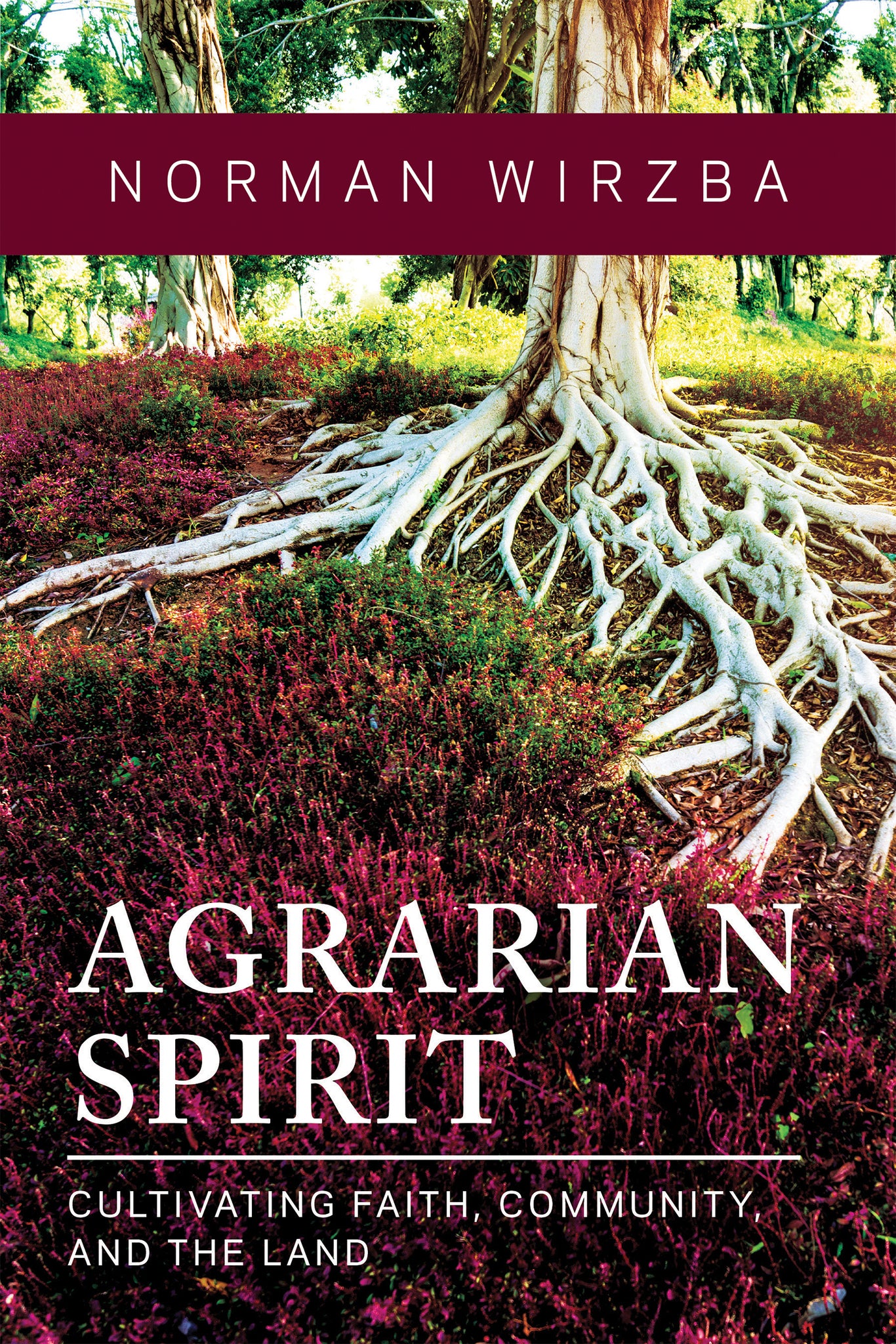 Cover image for Agrarian Spirit ISBN 9780268203092