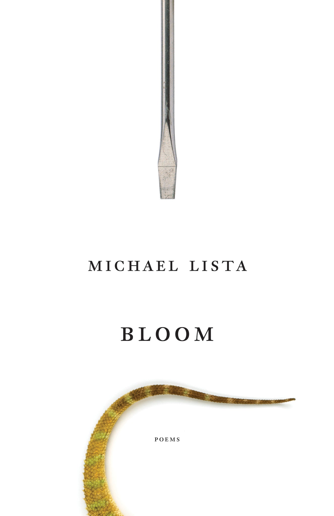 Cover image for Bloom ISBN 9780887849510