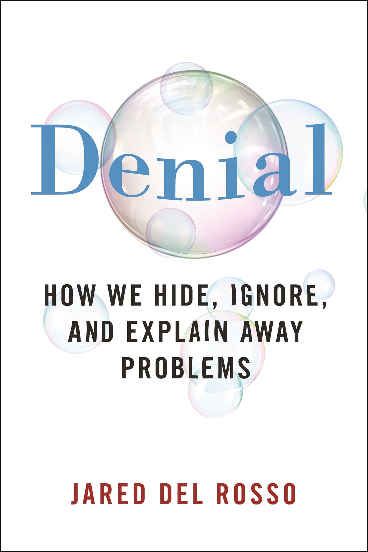 Cover image for Denial ISBN 9781479815944