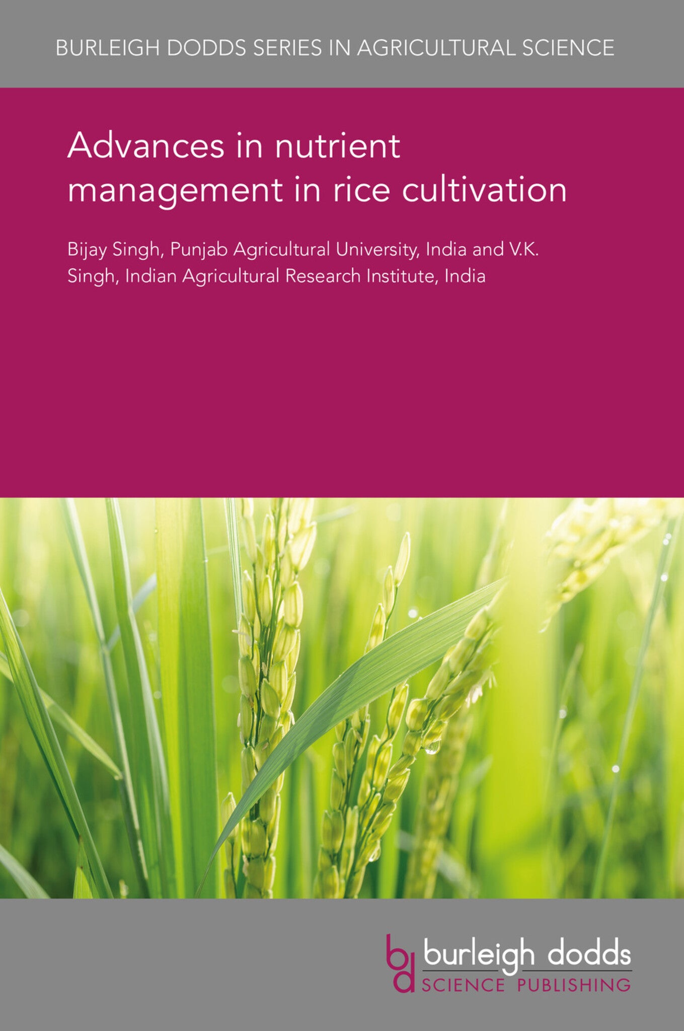 Cover image for Advances in nutrient management in rice cultivation ISBN 9781838792435