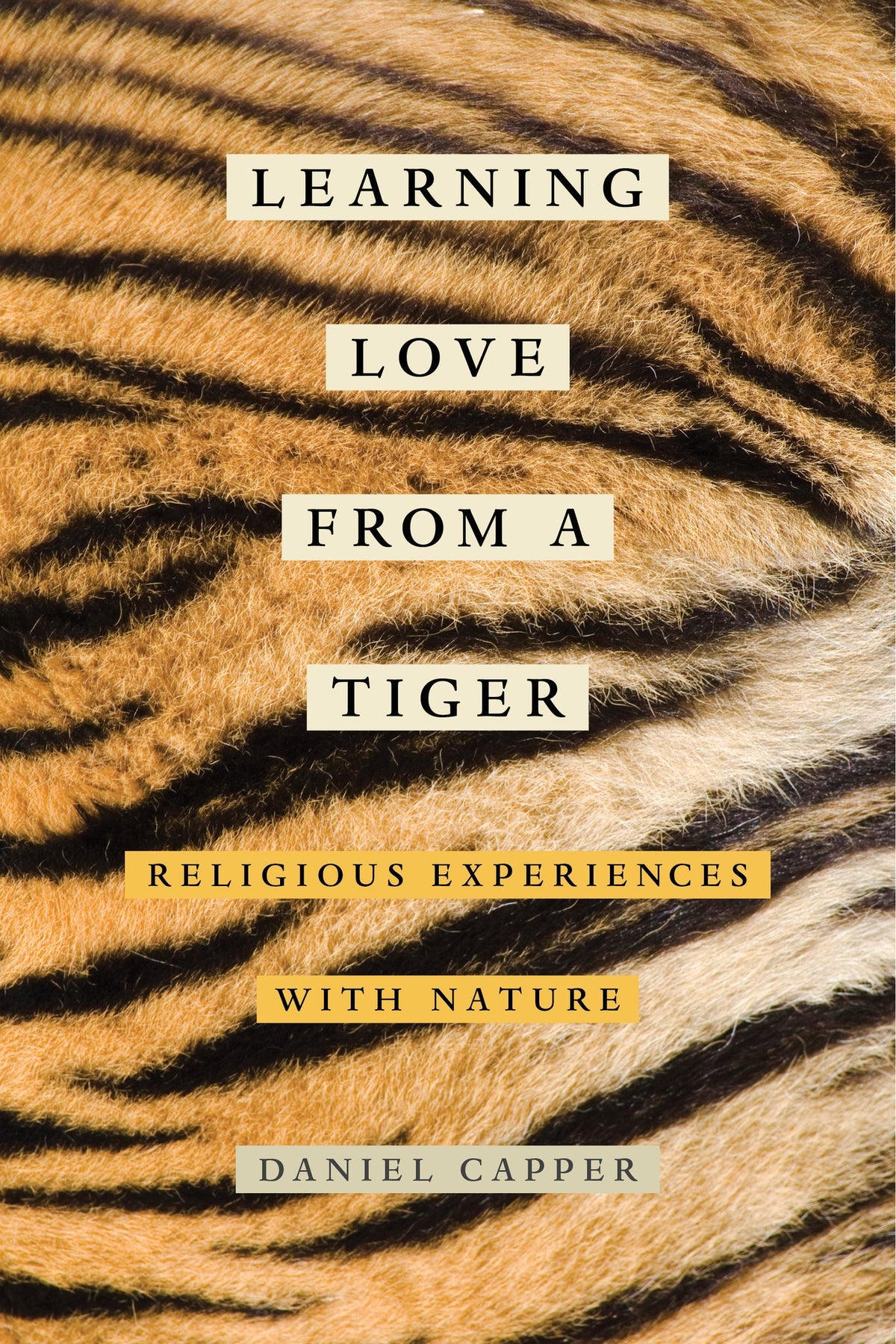 Cover image for Learning Love from a Tiger ISBN 9780520964600