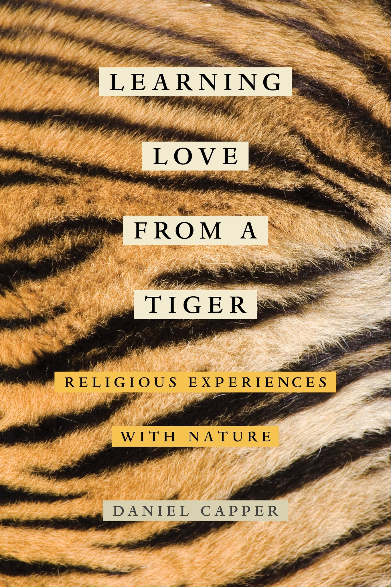 Cover image for Learning Love from a Tiger ISBN 9780520964600