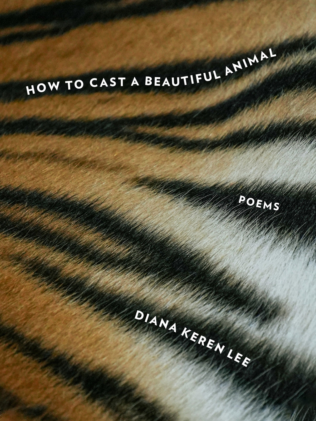 Cover image for How to Cast a Beautiful Animal ISBN 9781531514365