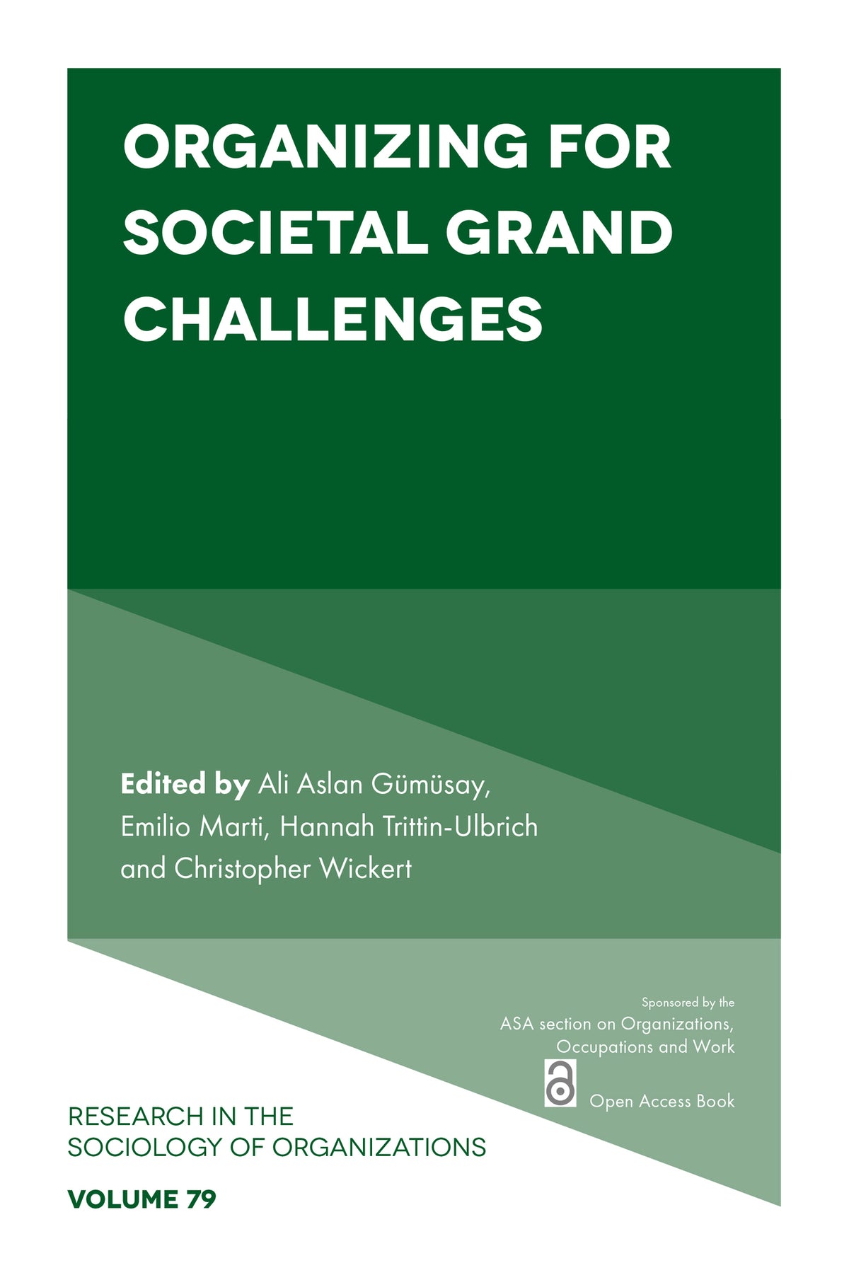Cover image for Organizing for Societal Grand Challenges ISBN 9781839098291