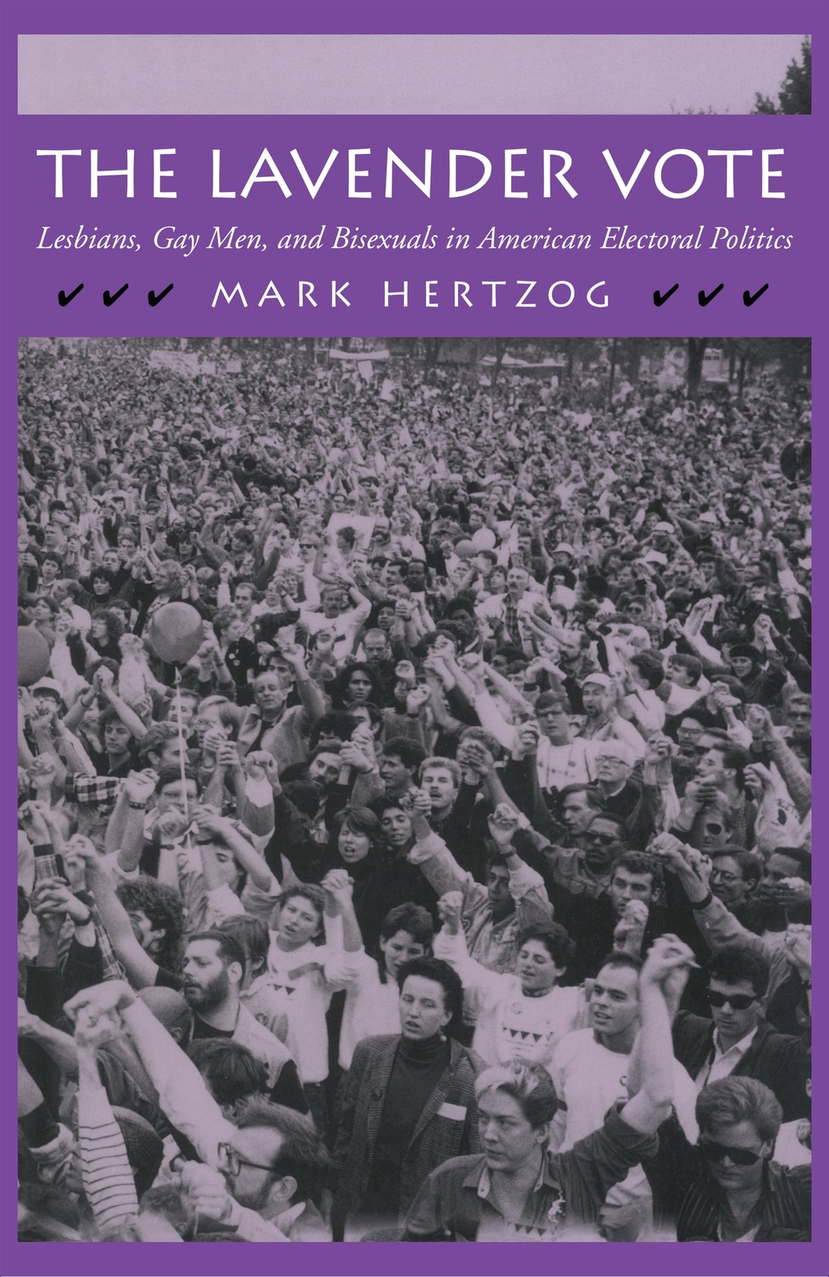 Cover image for The Lavender Vote ISBN 9780814735299